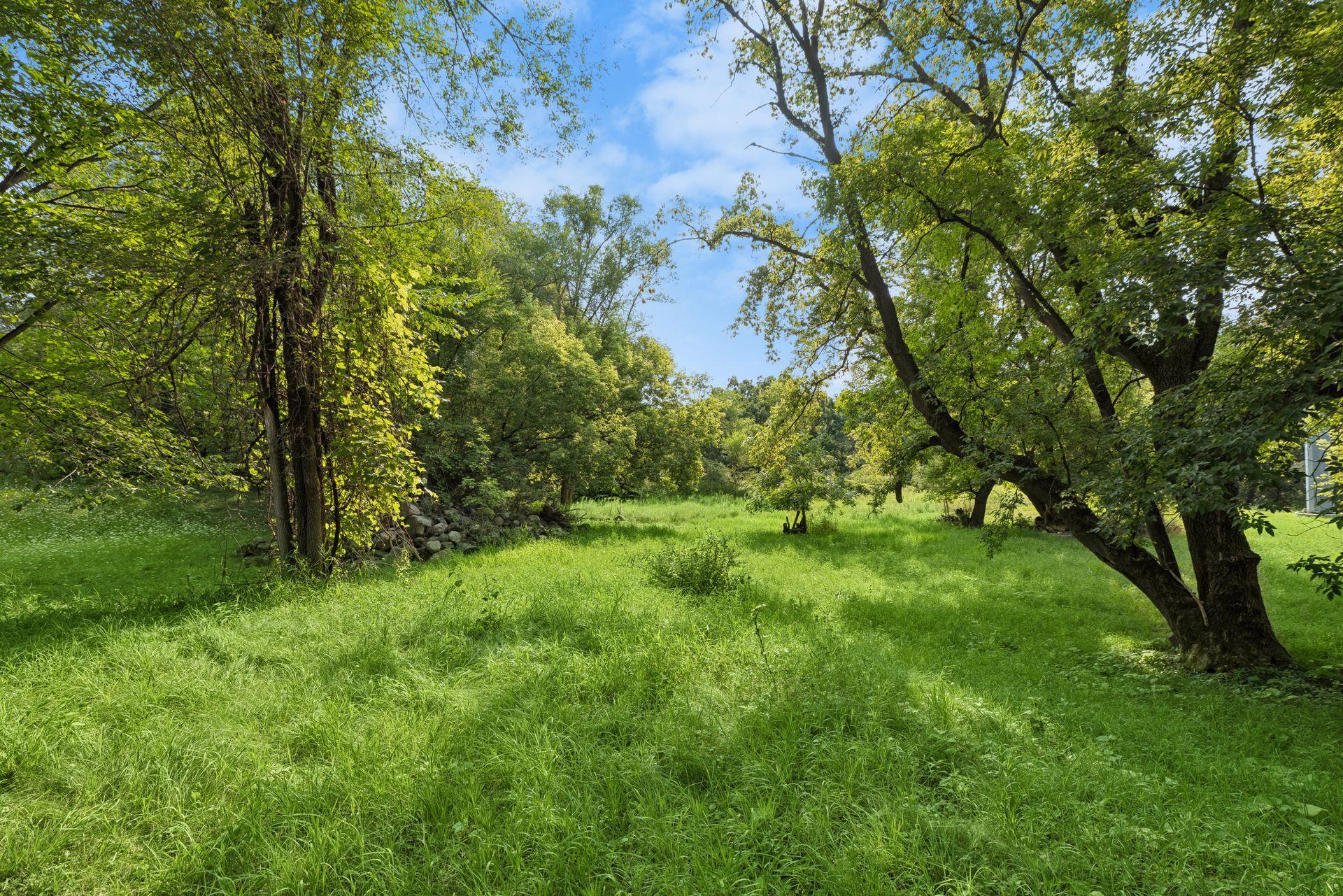 View of Land at 3 Sunfish Lane, Sunfish Lake MN 55118, Sunfish Lake (7 of 11) - Mike Wilen | Minnesota Team Real Estate