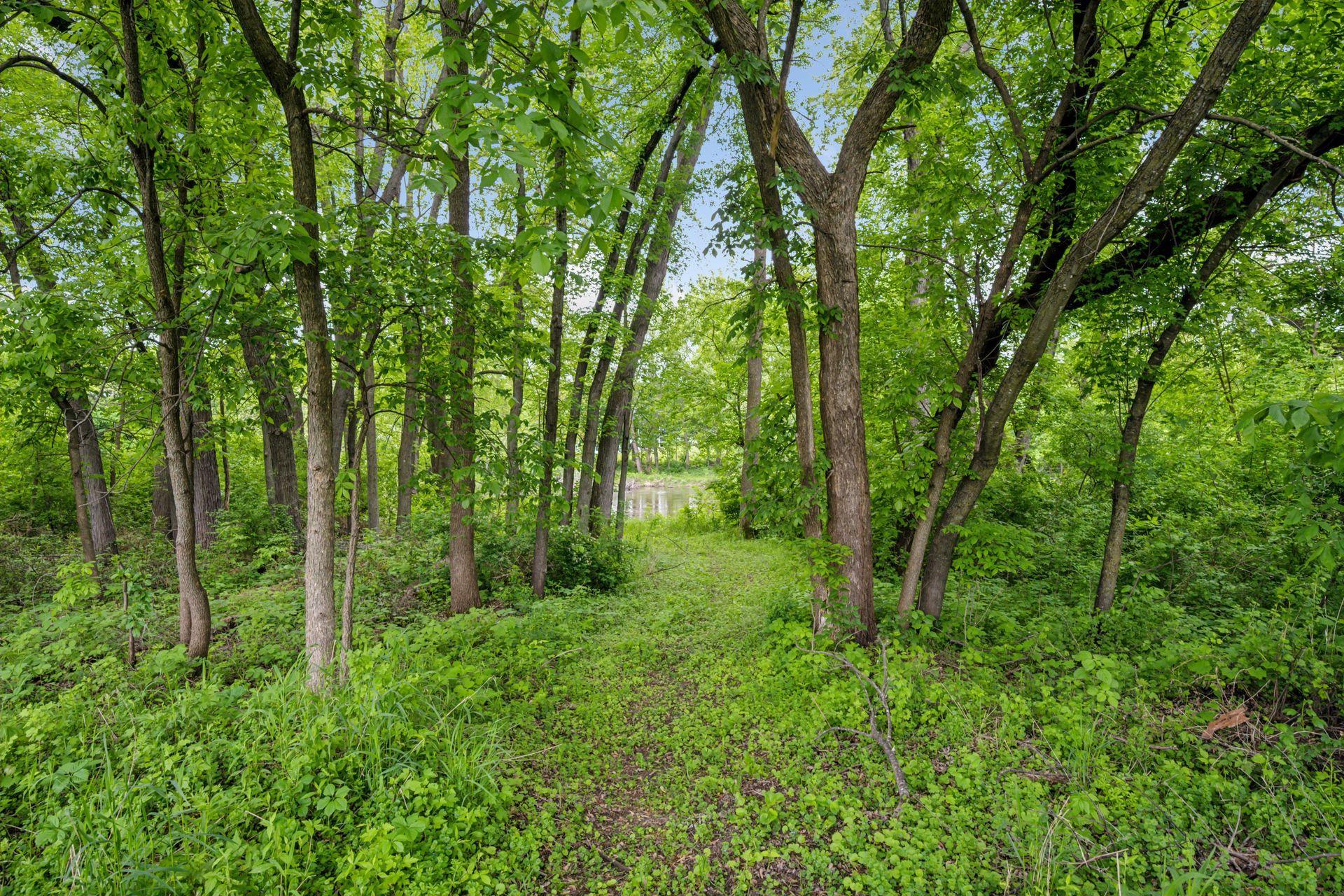 View of Residential Lot at 2663 Weston Way, Hanover - Mike Wilen | Minnesota Team Real Estate