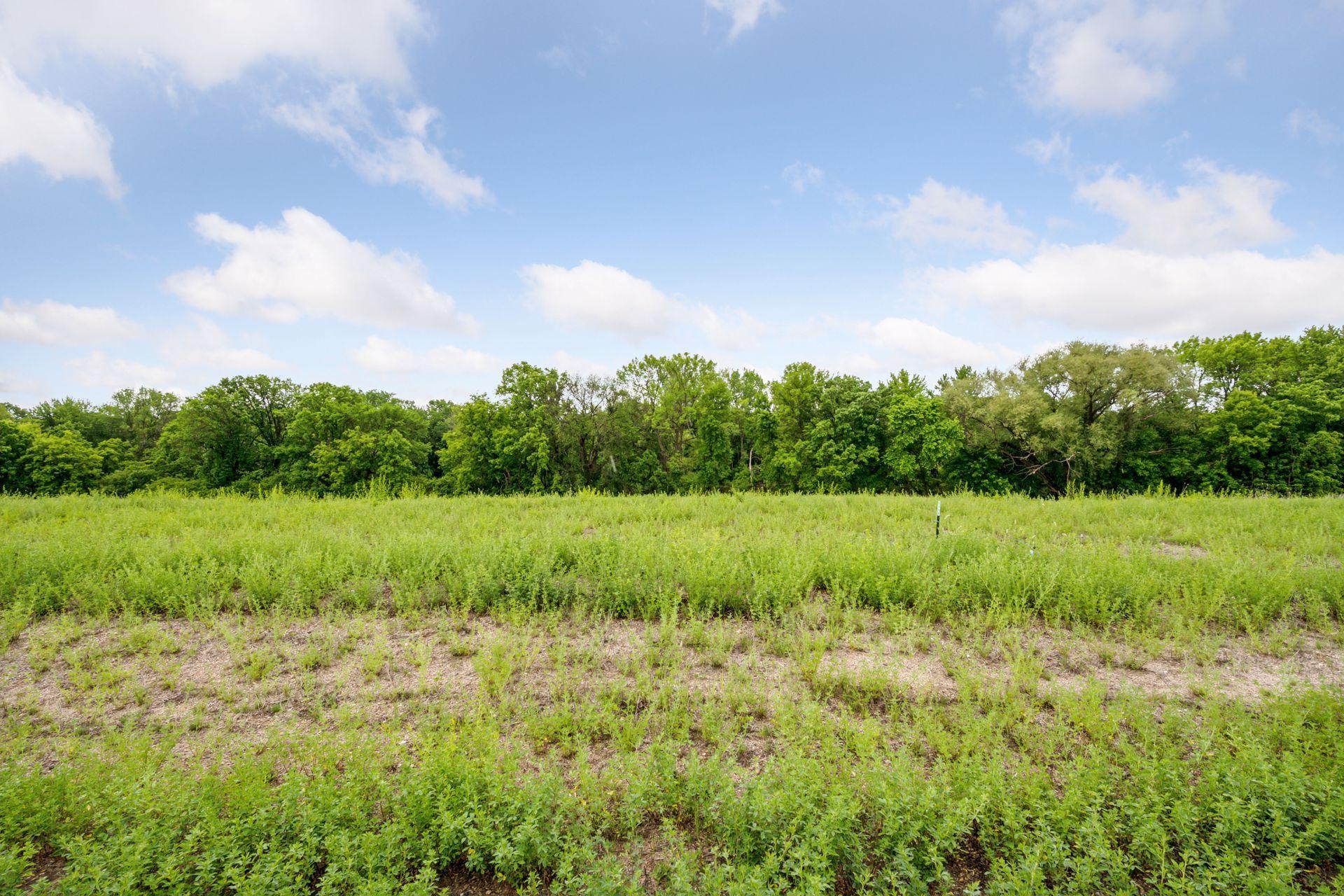View of Land at 2663 Weston Way, Hanover MN 55341, Hanover (4 of 11) - Mike Wilen | Minnesota Team Real Estate