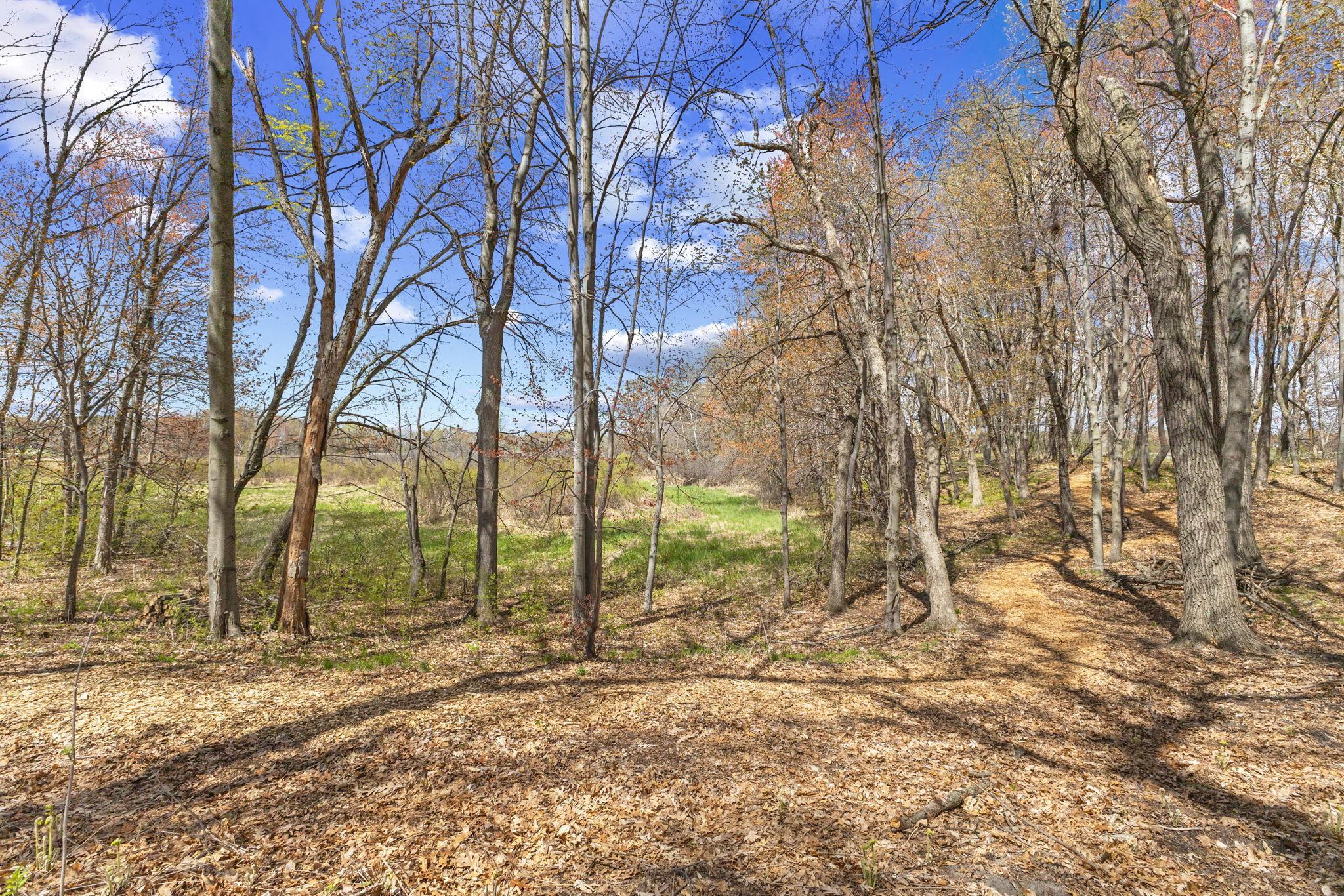 View of Residential at 2653 Constance Boulevard, Ham Lake MN 55304, Ham Lake (50 of 69) - Mike Wilen | Minnesota Team Real Estate