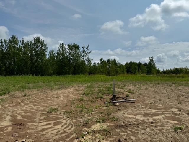 View of Land at TBD Dickens, Rush City MN 55069, Rush City (10 of 13) - Mike Wilen | Minnesota Team Real Estate