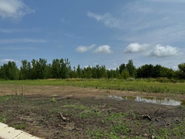View of Land at TBD Dickens, Rush City MN 55069, Rush City (4 of 13) - Mike Wilen | Minnesota Team Real Estate