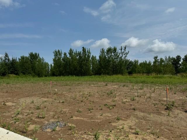 View of Land at TBD Dickens, Rush City MN 55069, Rush City (3 of 13) - Mike Wilen | Minnesota Team Real Estate