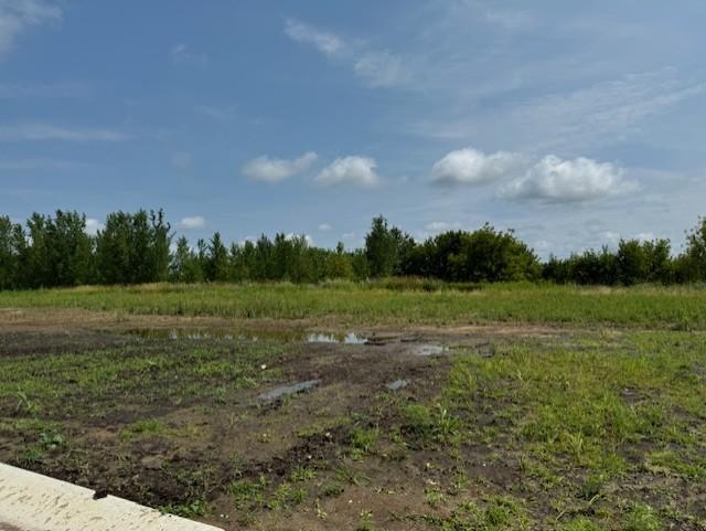 View of Land at TBD Dickens, Rush City MN 55069, Rush City (2 of 13) - Mike Wilen | Minnesota Team Real Estate