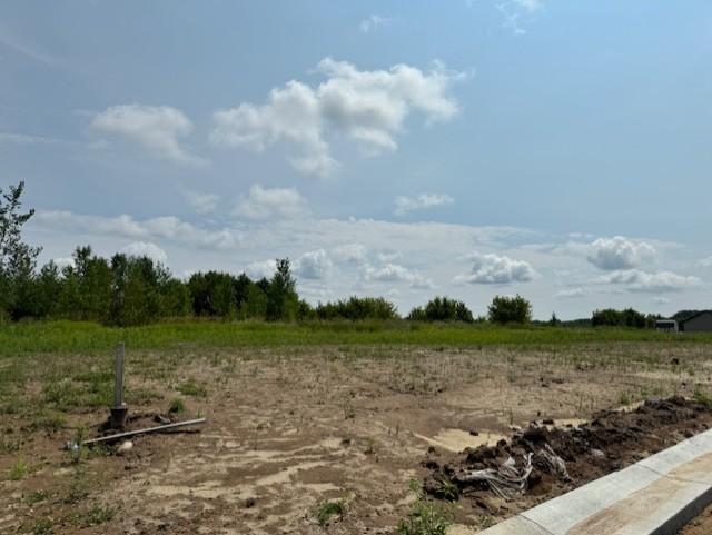 View of Land at TBD Dickens, Rush City MN 55069, Rush City - Mike Wilen | Minnesota Team Real Estate
