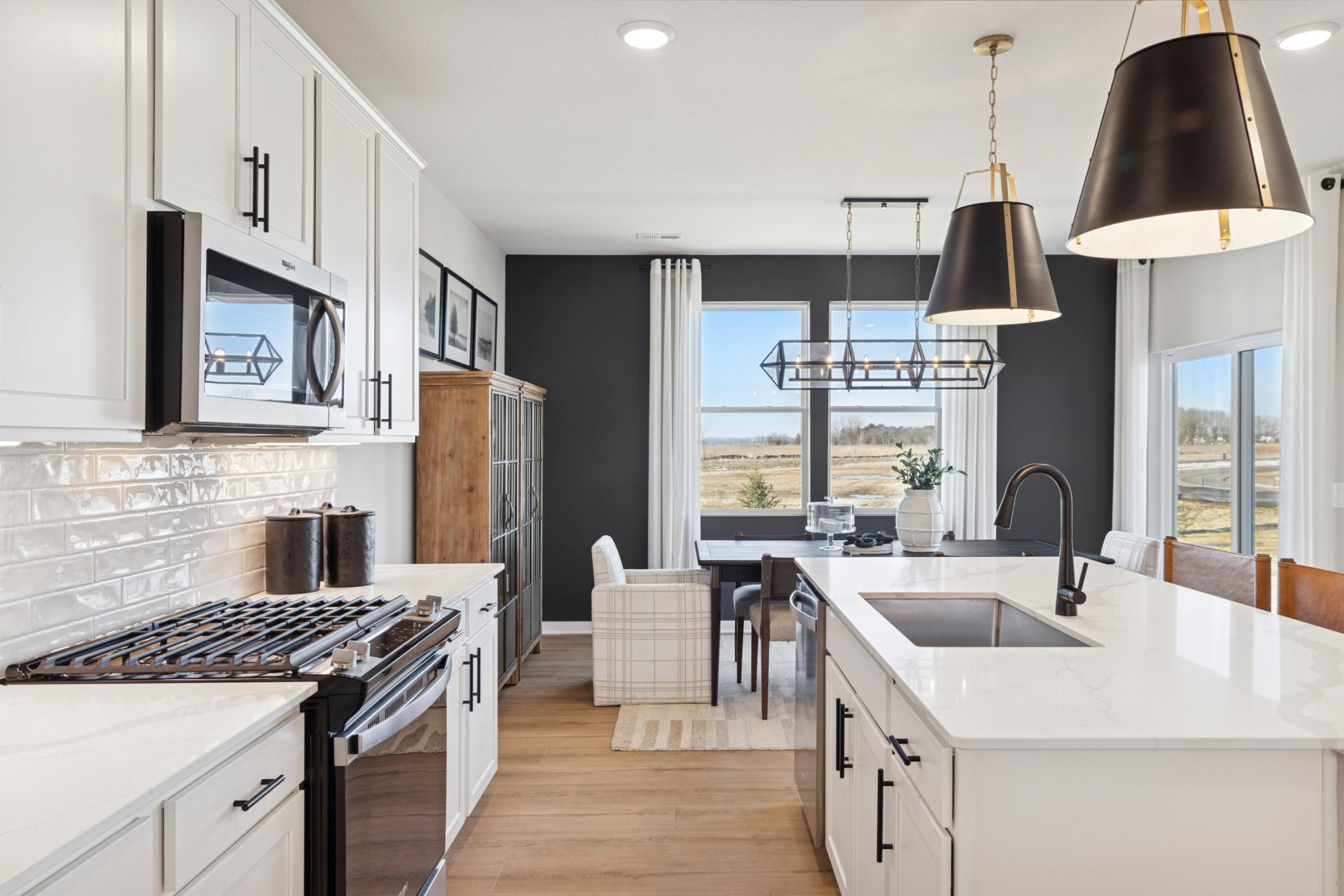 View of Residential at 15026 Askeaton Place, Rosemount MN 55068, Rosemount - Mike Wilen | Minnesota Team Real Estate