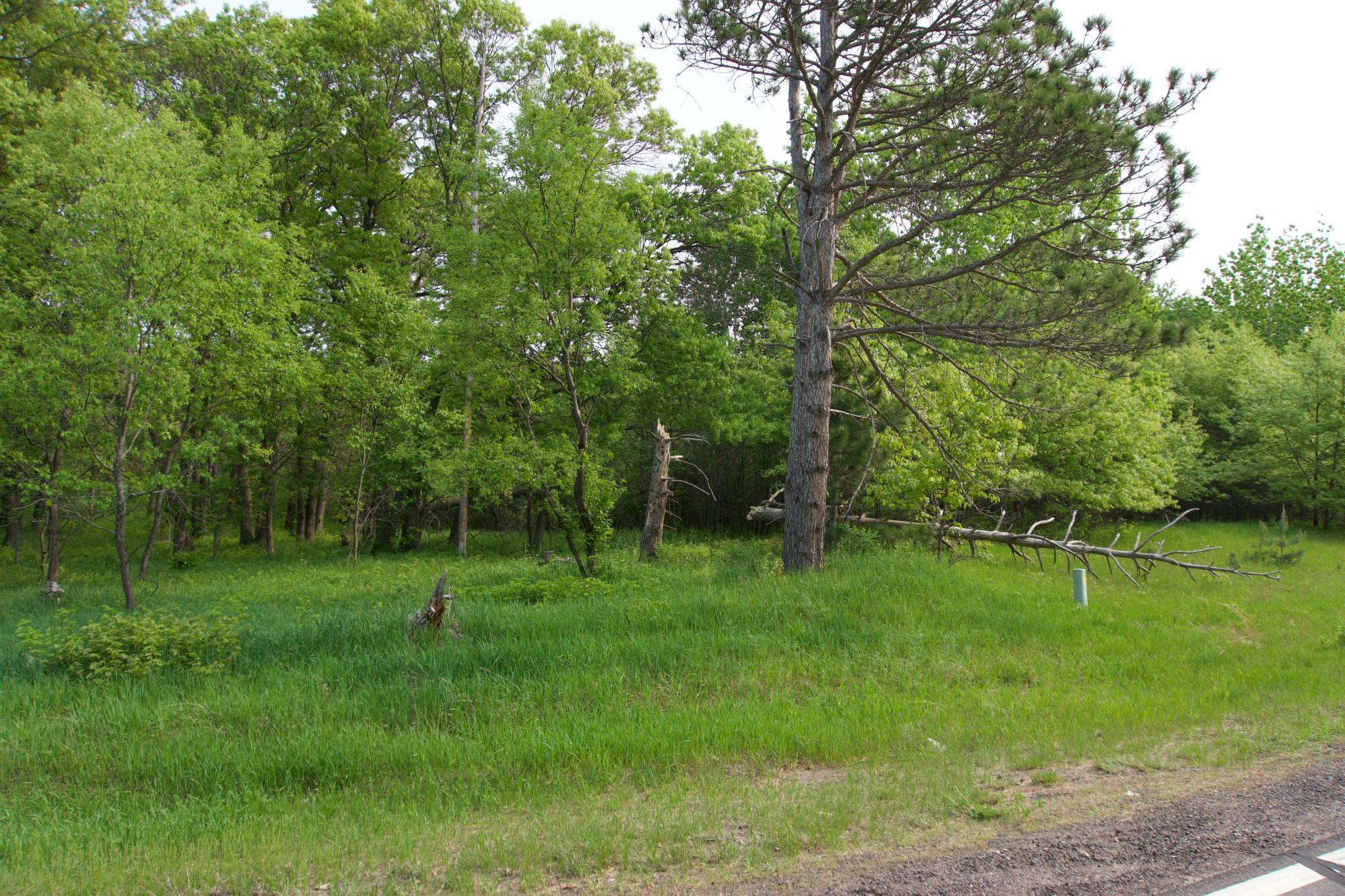View of Land at XXX Lot 3 283rd Avenue, Zimmerman MN 55398, Zimmerman (3 of 8) - Mike Wilen | Minnesota Team Real Estate