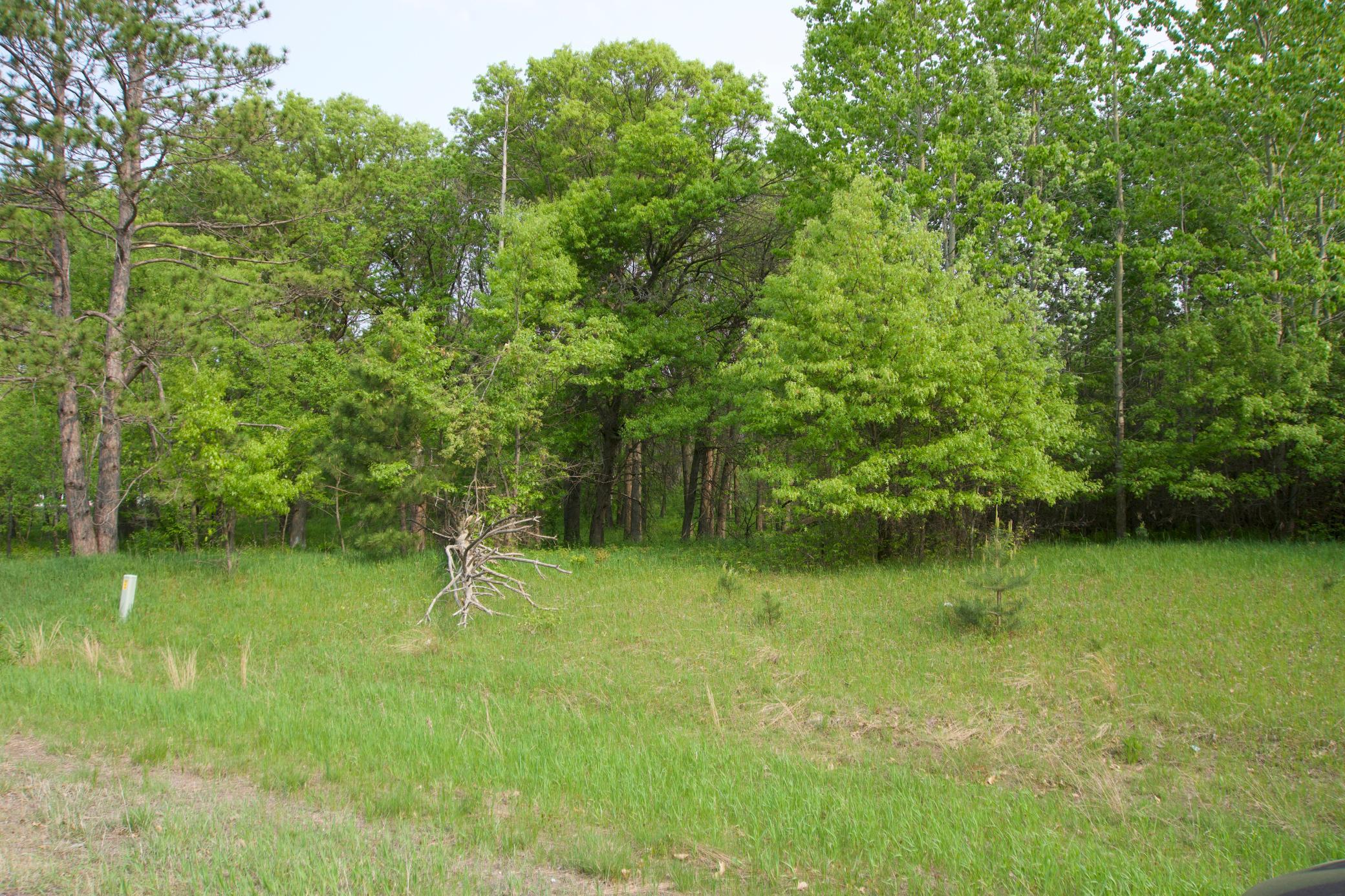 View of Land at XXX Lot 3 283rd Avenue, Zimmerman MN 55398, Zimmerman (4 of 8) - Mike Wilen | Minnesota Team Real Estate