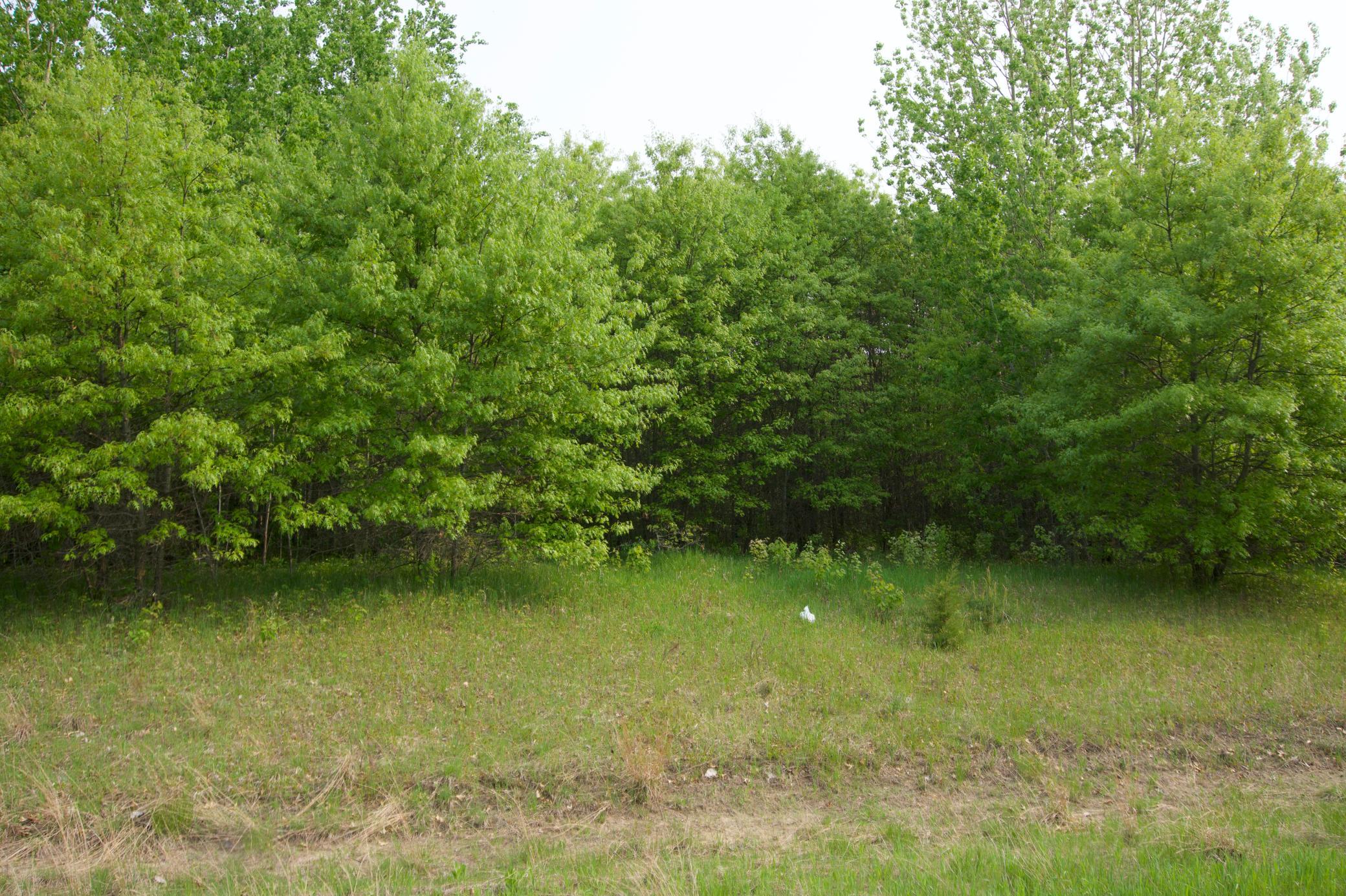 View of Land at XXX Lot 3 283rd Avenue, Zimmerman MN 55398, Zimmerman (5 of 8) - Mike Wilen | Minnesota Team Real Estate