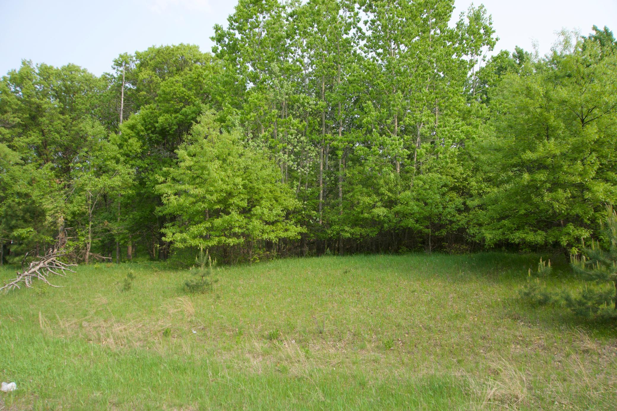 View of Land at XXX Lot 3 283rd Avenue, Zimmerman MN 55398, Zimmerman (7 of 8) - Mike Wilen | Minnesota Team Real Estate
