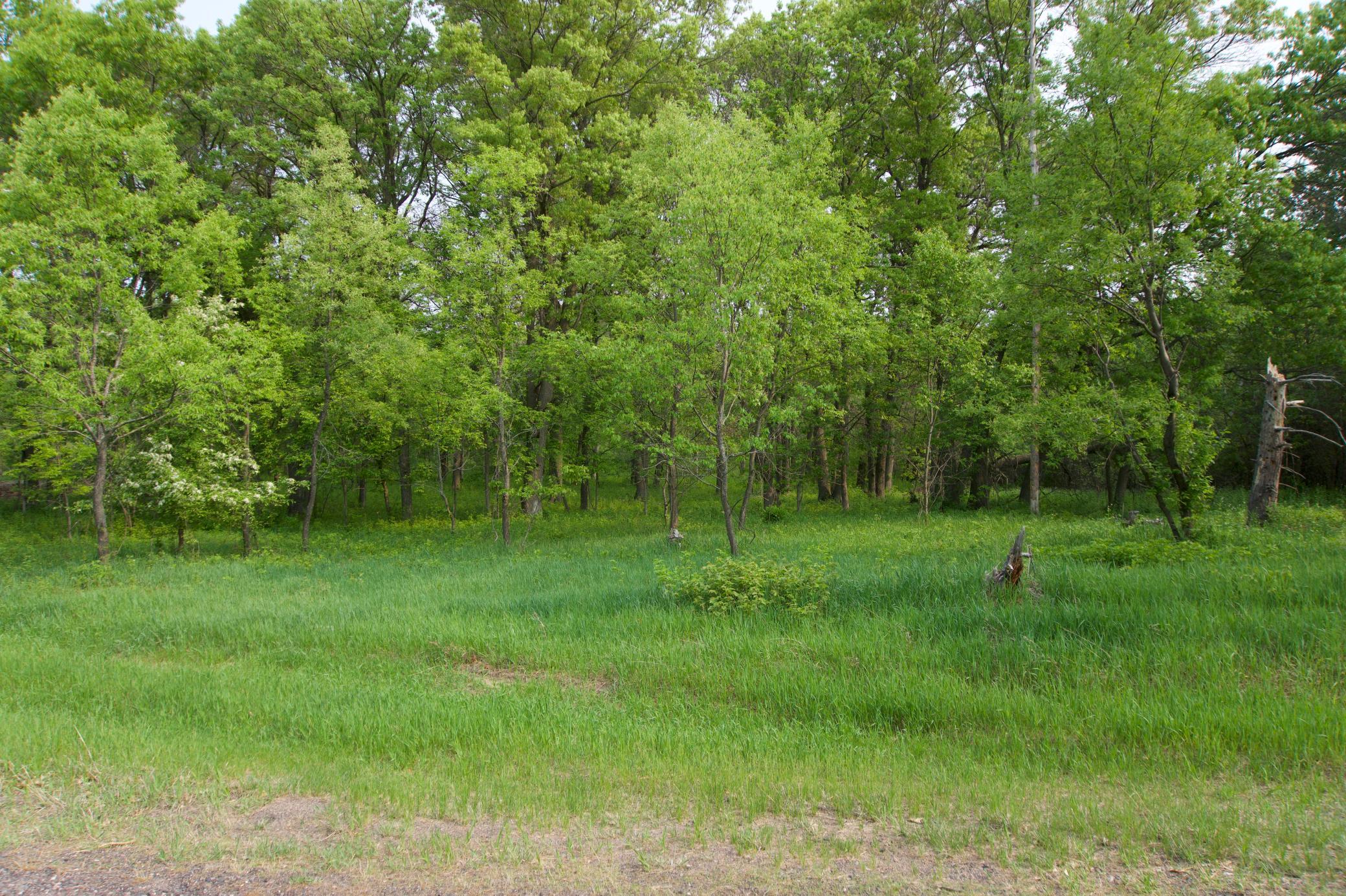 View of Land at XXX Lot 3 283rd Avenue, Zimmerman MN 55398, Zimmerman (8 of 8) - Mike Wilen | Minnesota Team Real Estate