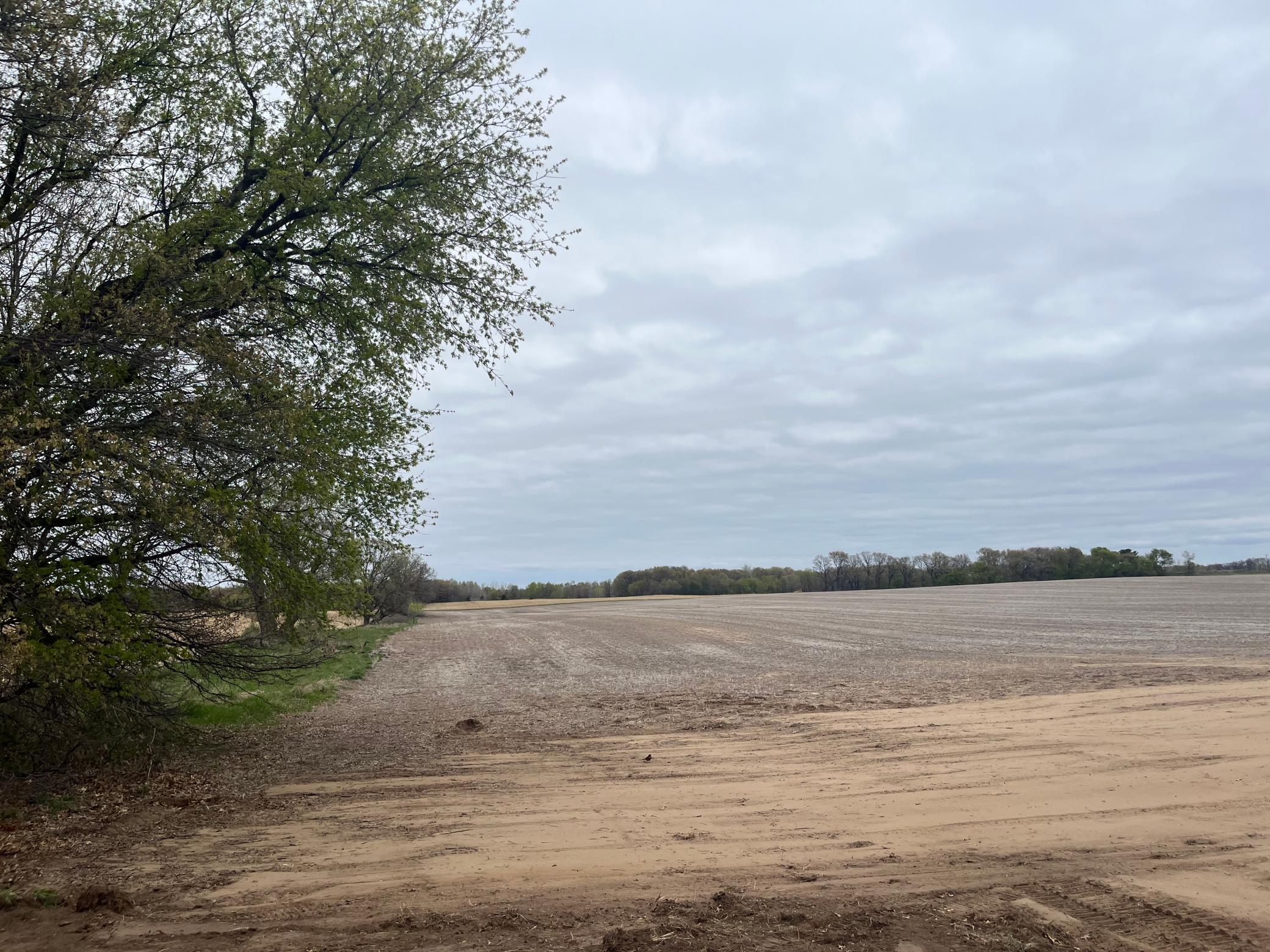 View of Land at (L1-SM West) TBD 269th Avenue, Isanti MN 55040, Isanti - Mike Wilen | Minnesota Team Real Estate