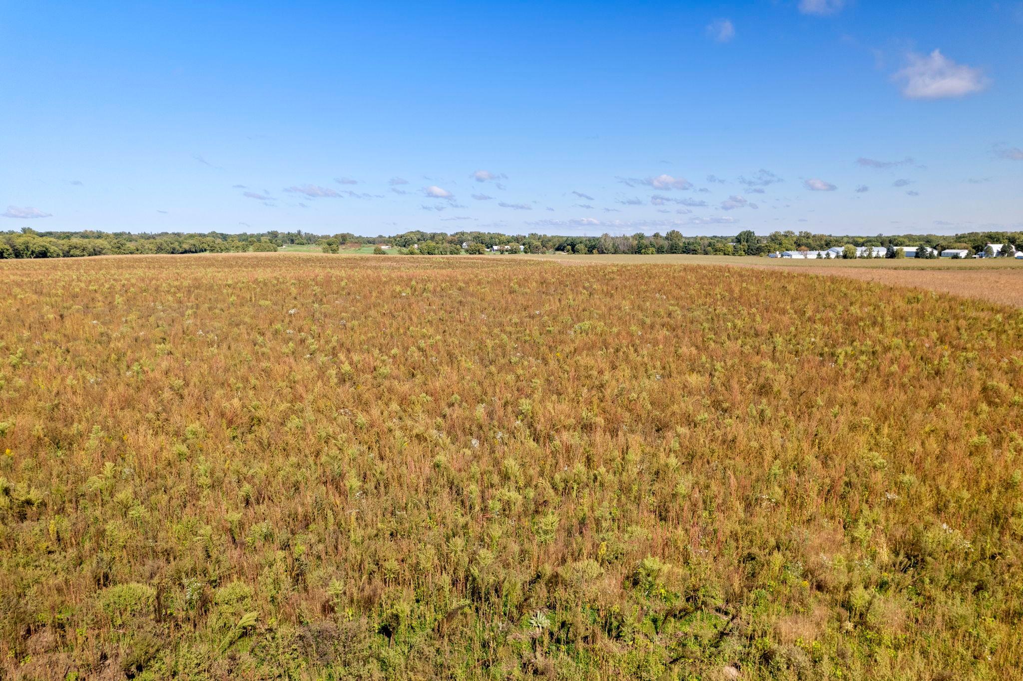 View of Land at 000 75th Street, Grant MN 55082, Grant (6 of 6) - Mike Wilen | Minnesota Team Real Estate