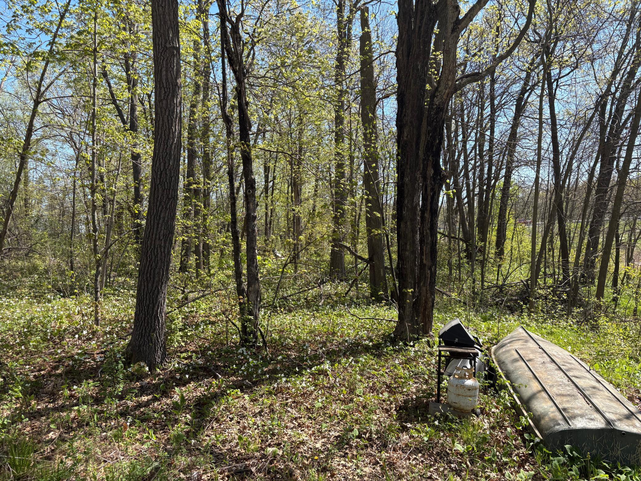 View of Land at 47292 Baffie Bend, Garrison MN 56450, Garrison (19 of 34) - Mike Wilen | Minnesota Team Real Estate