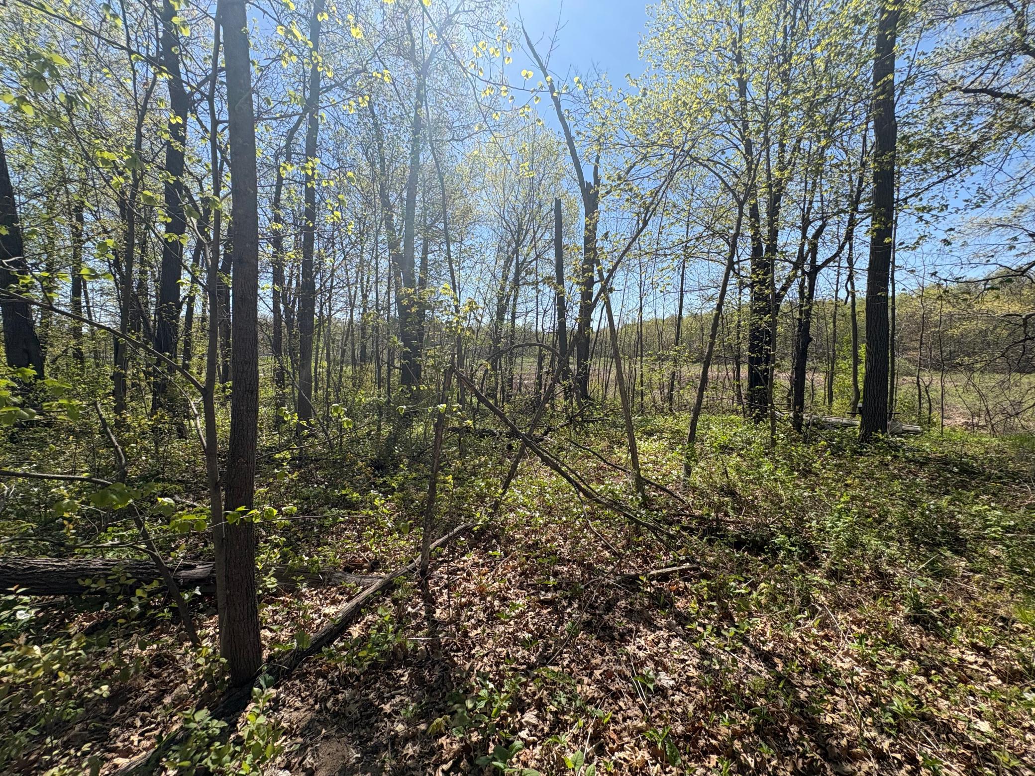View of Land at 47292 Baffie Bend, Garrison MN 56450, Garrison (17 of 34) - Mike Wilen | Minnesota Team Real Estate
