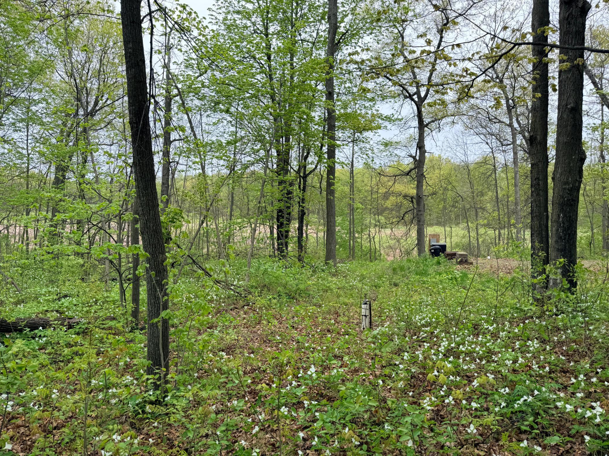 View of Land at 47292 Baffie Bend, Garrison MN 56450, Garrison (31 of 34) - Mike Wilen | Minnesota Team Real Estate