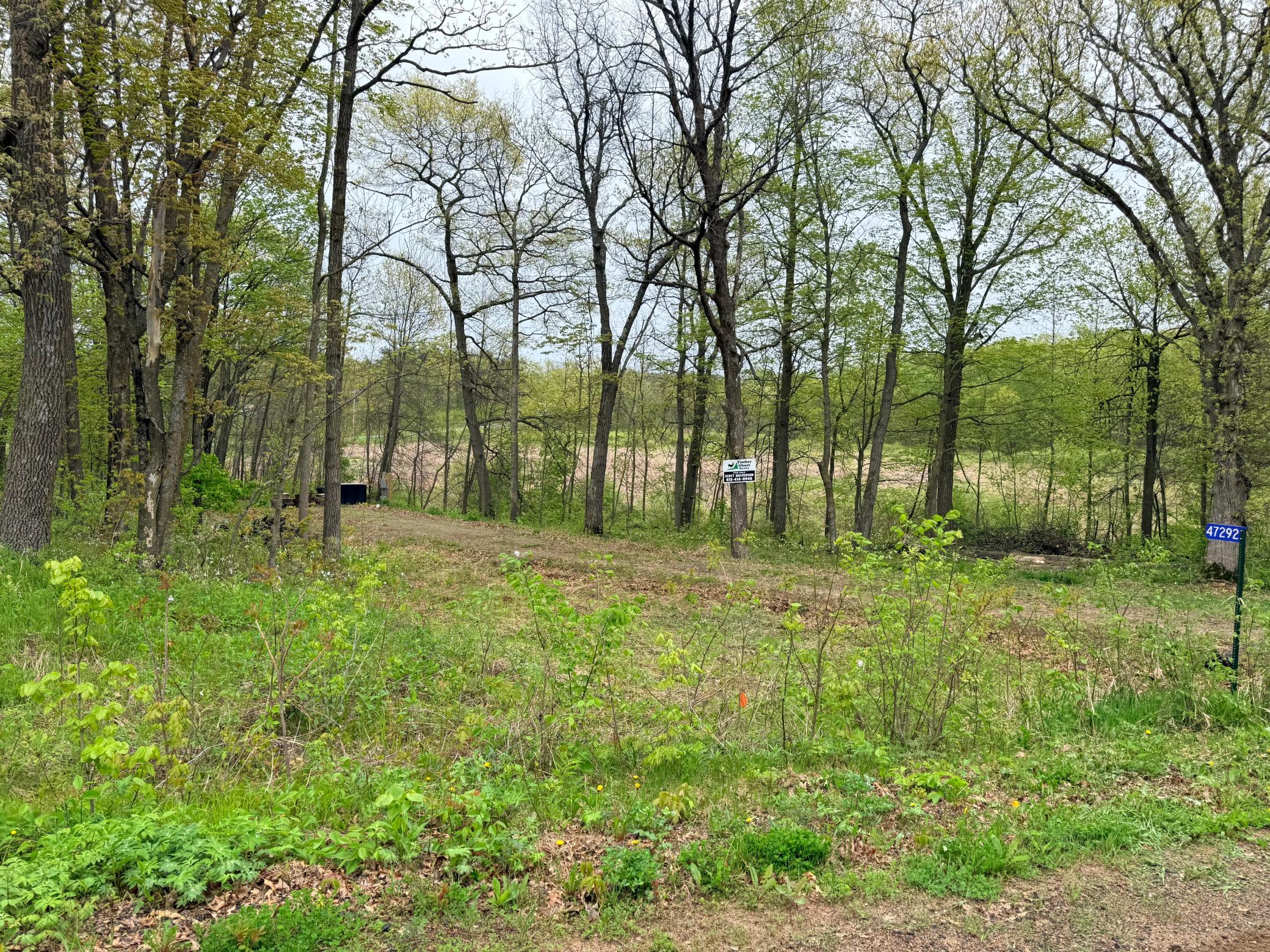 View of Land at 47292 Baffie Bend, Garrison MN 56450, Garrison (30 of 34) - Mike Wilen | Minnesota Team Real Estate