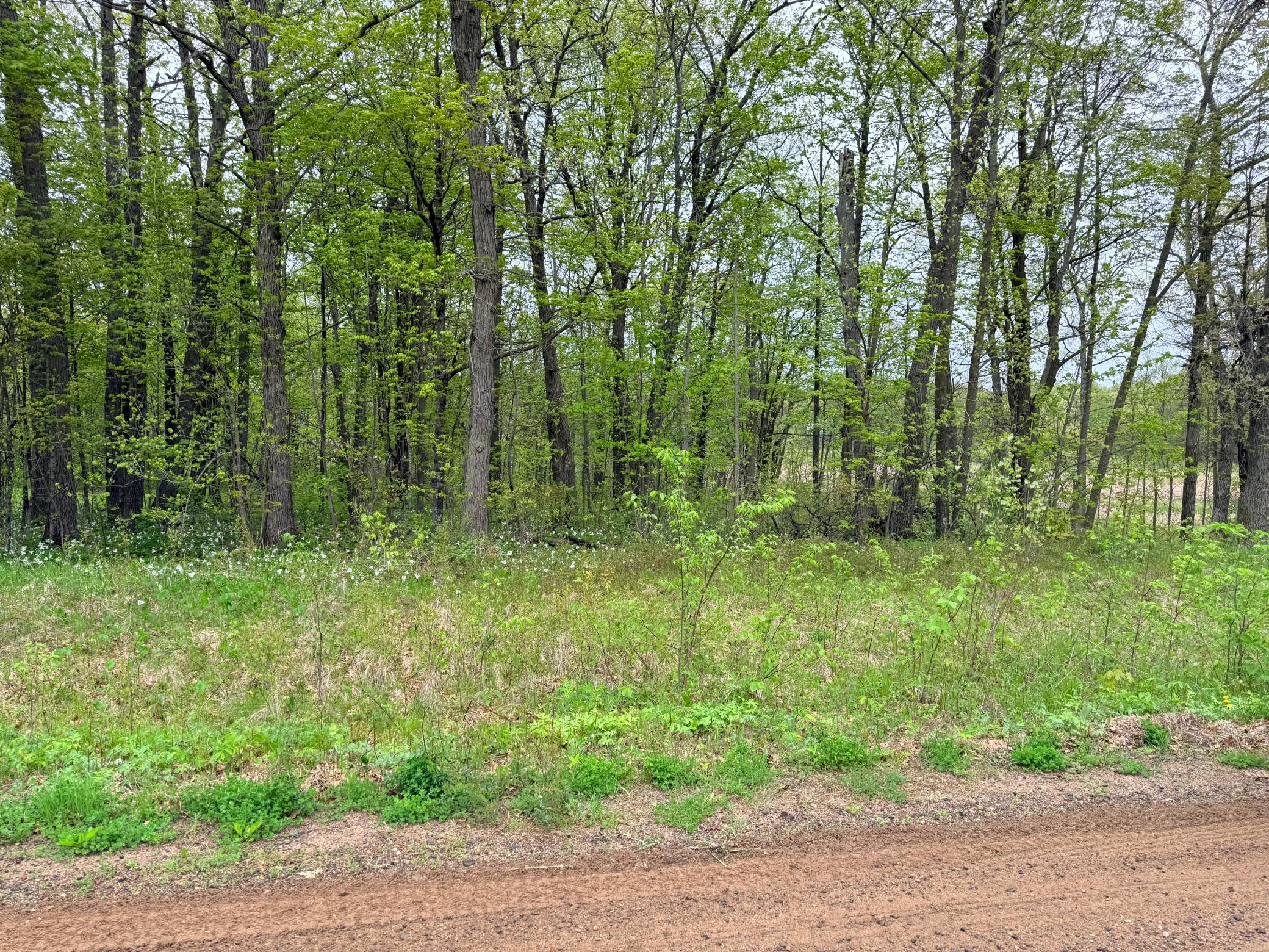 View of Land at 47292 Baffie Bend, Garrison MN 56450, Garrison (29 of 34) - Mike Wilen | Minnesota Team Real Estate