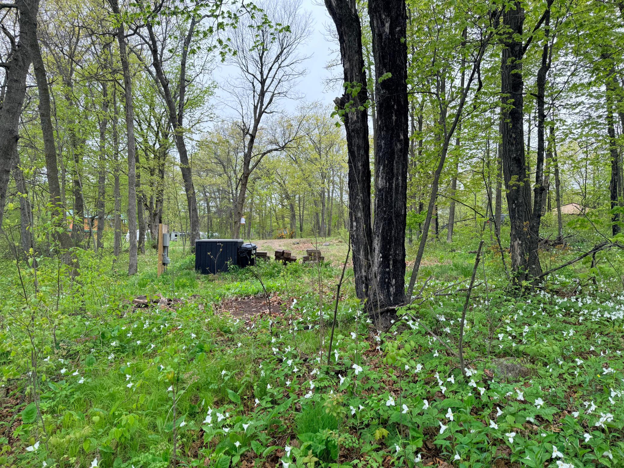 View of Land at 47292 Baffie Bend, Garrison MN 56450, Garrison (25 of 34) - Mike Wilen | Minnesota Team Real Estate
