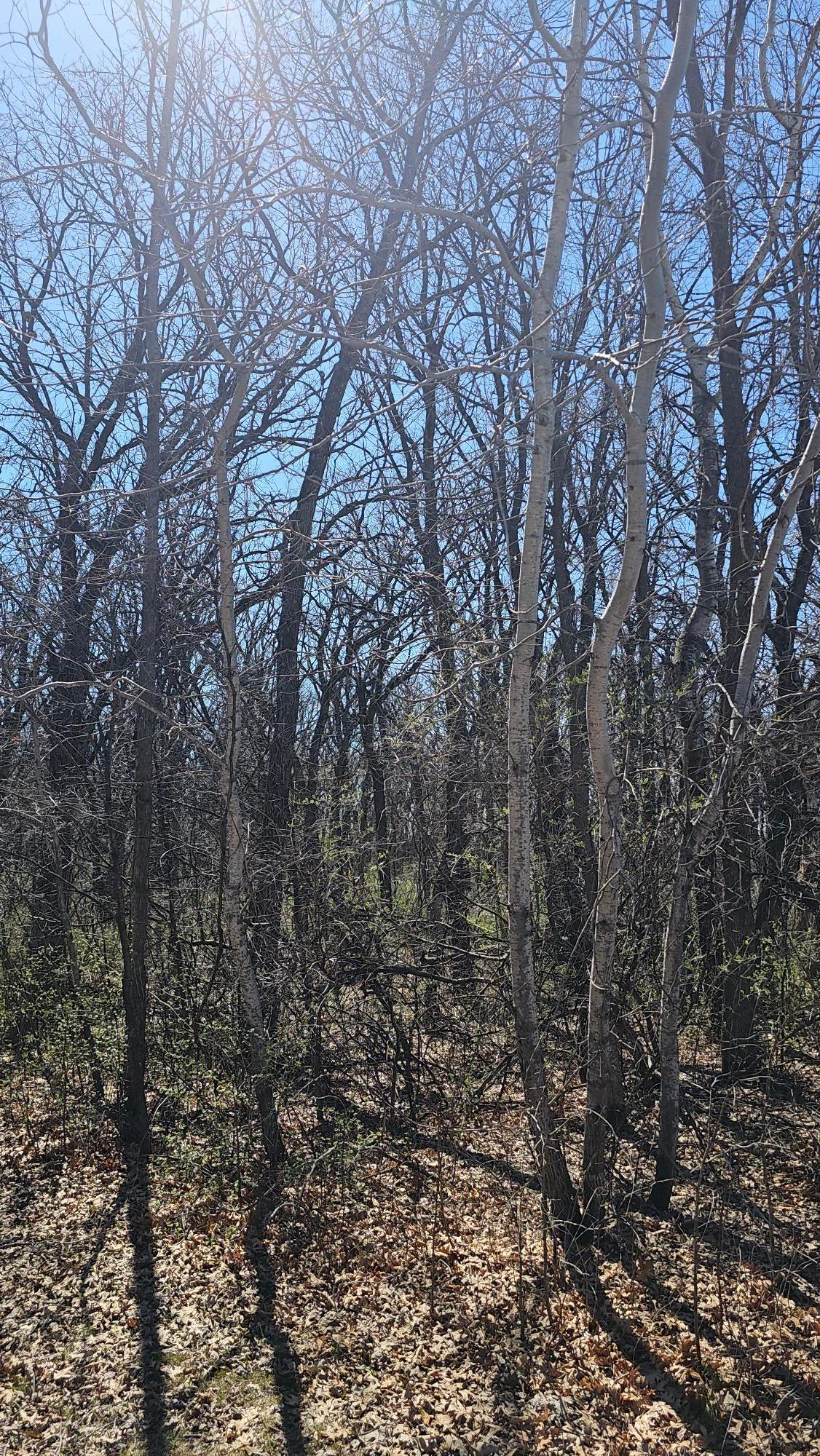 View of Land at TBD 57th Street, Saint Cloud MN 56304, Saint Cloud (4 of 14) - Mike Wilen | Minnesota Team Real Estate