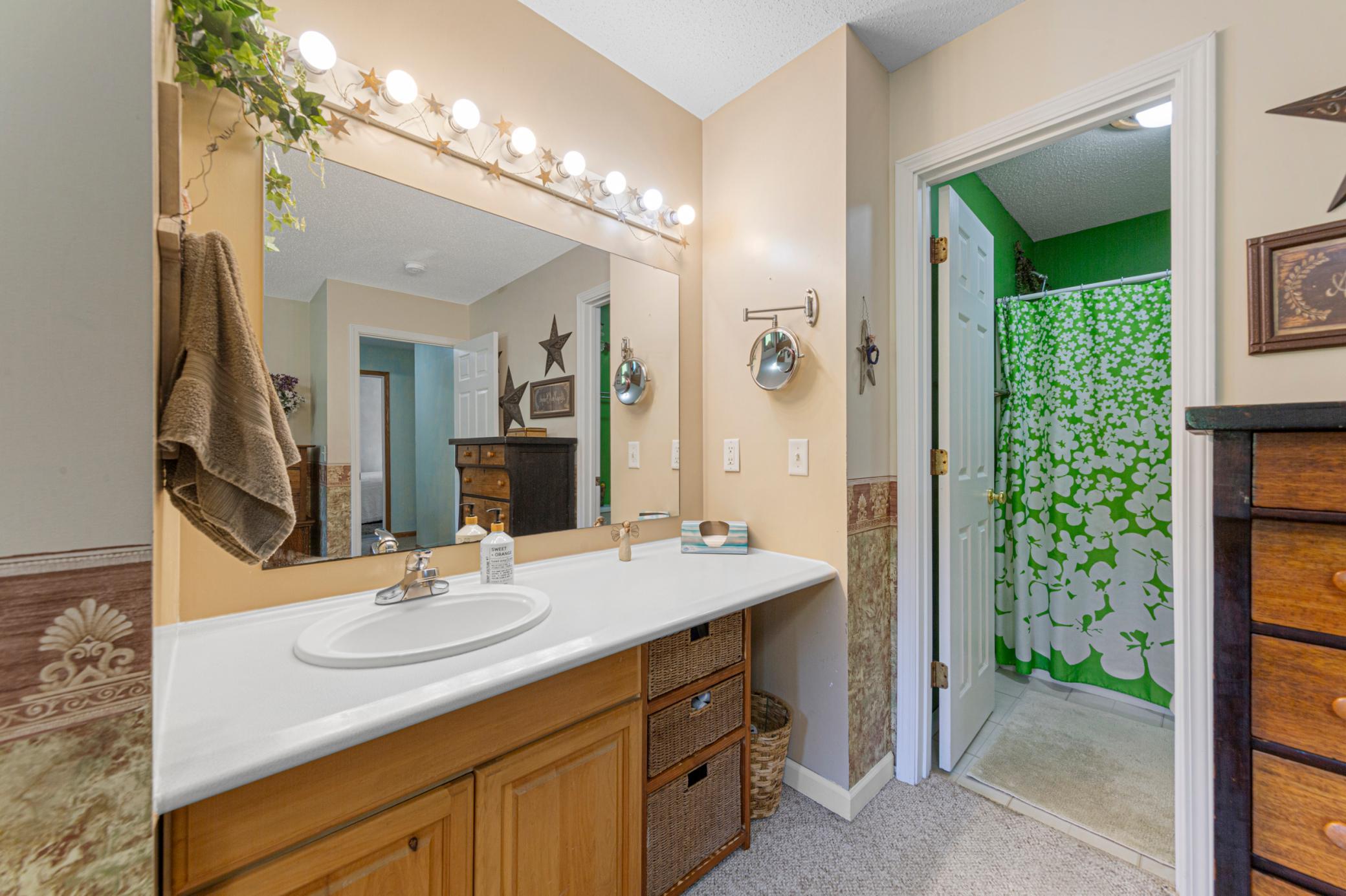 View of Residential at 13304 Sakatah Lake Road, Waterville MN 56096, Waterville (38 of 59) - Mike Wilen | Minnesota Team Real Estate