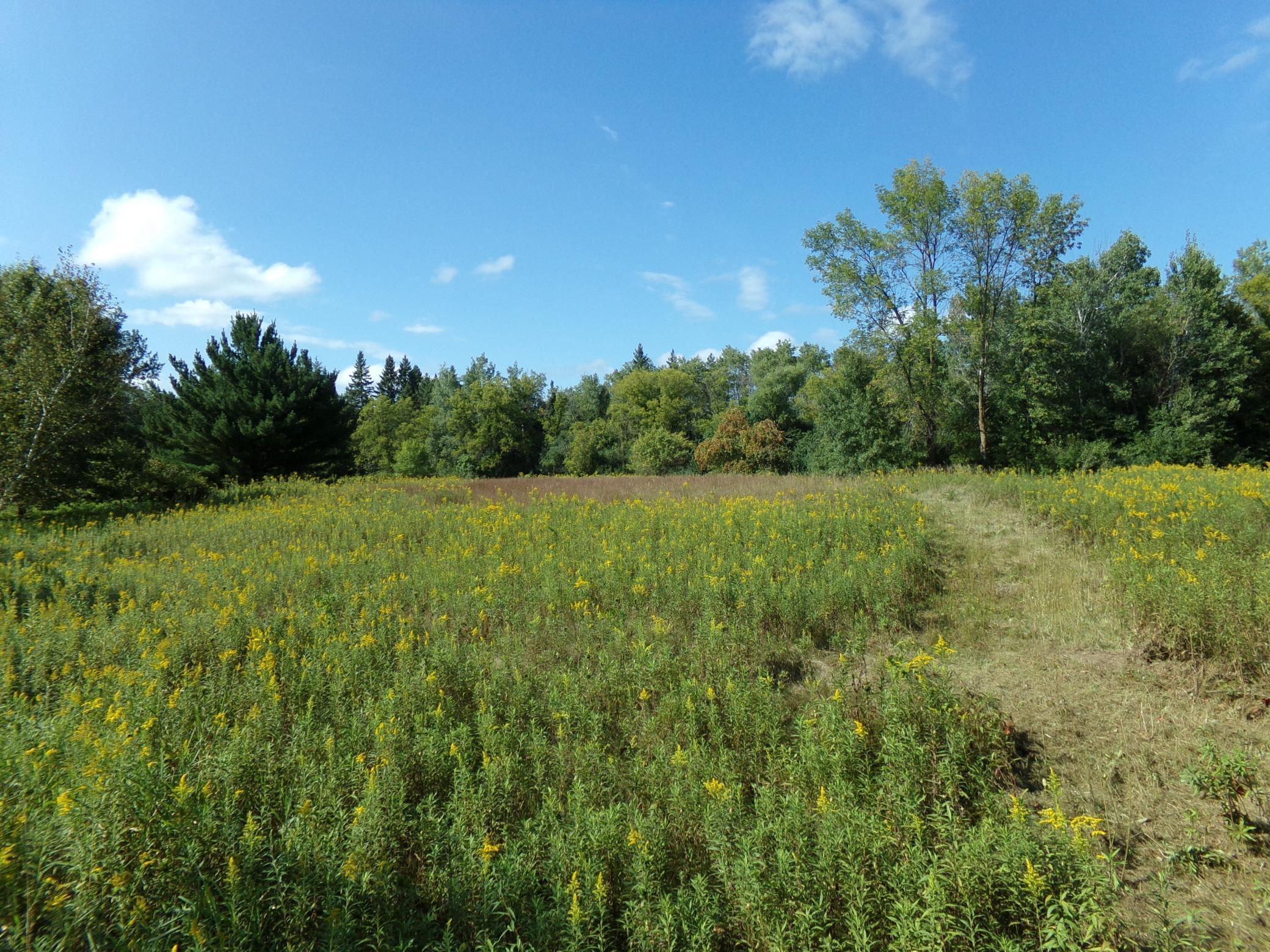 View of Land at 67xx Old Sawmill Road, Harris MN 55032, Harris - Mike Wilen | Minnesota Team Real Estate