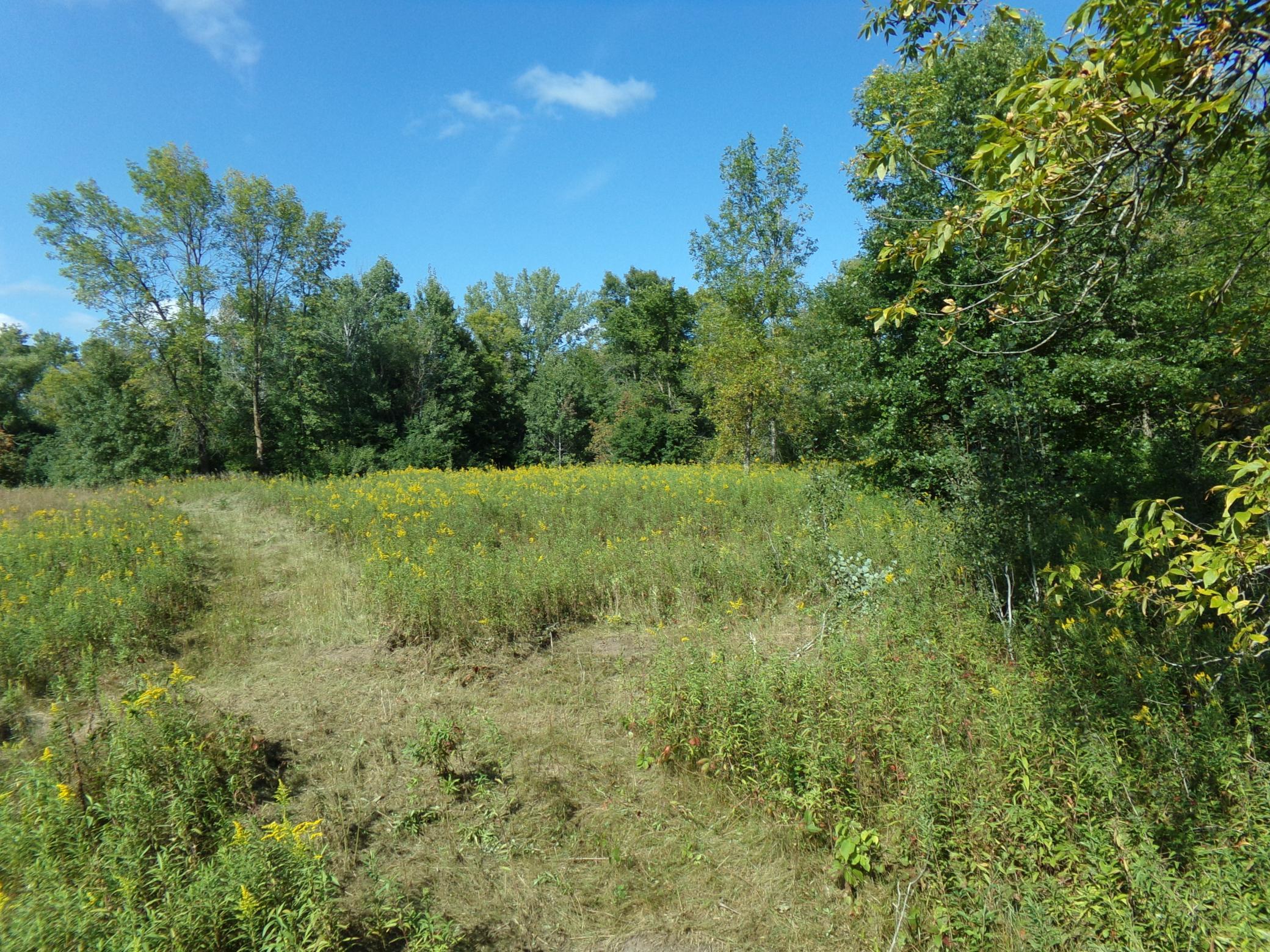 View of Land at 67xx Old Sawmill Road, Harris MN 55032, Harris (2 of 15) - Mike Wilen | Minnesota Team Real Estate