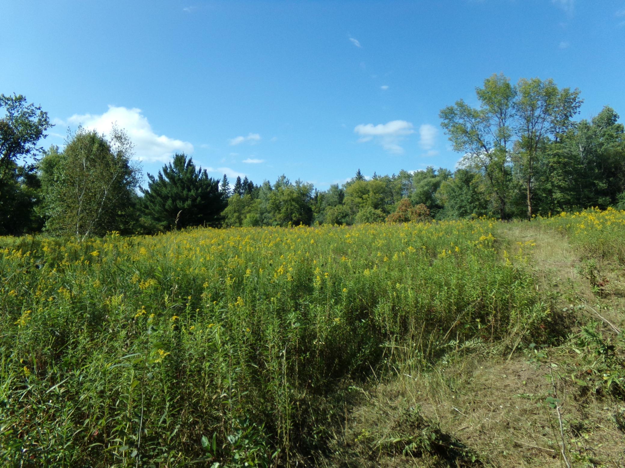 View of Land at 67xx Old Sawmill Road, Harris MN 55032, Harris (3 of 15) - Mike Wilen | Minnesota Team Real Estate