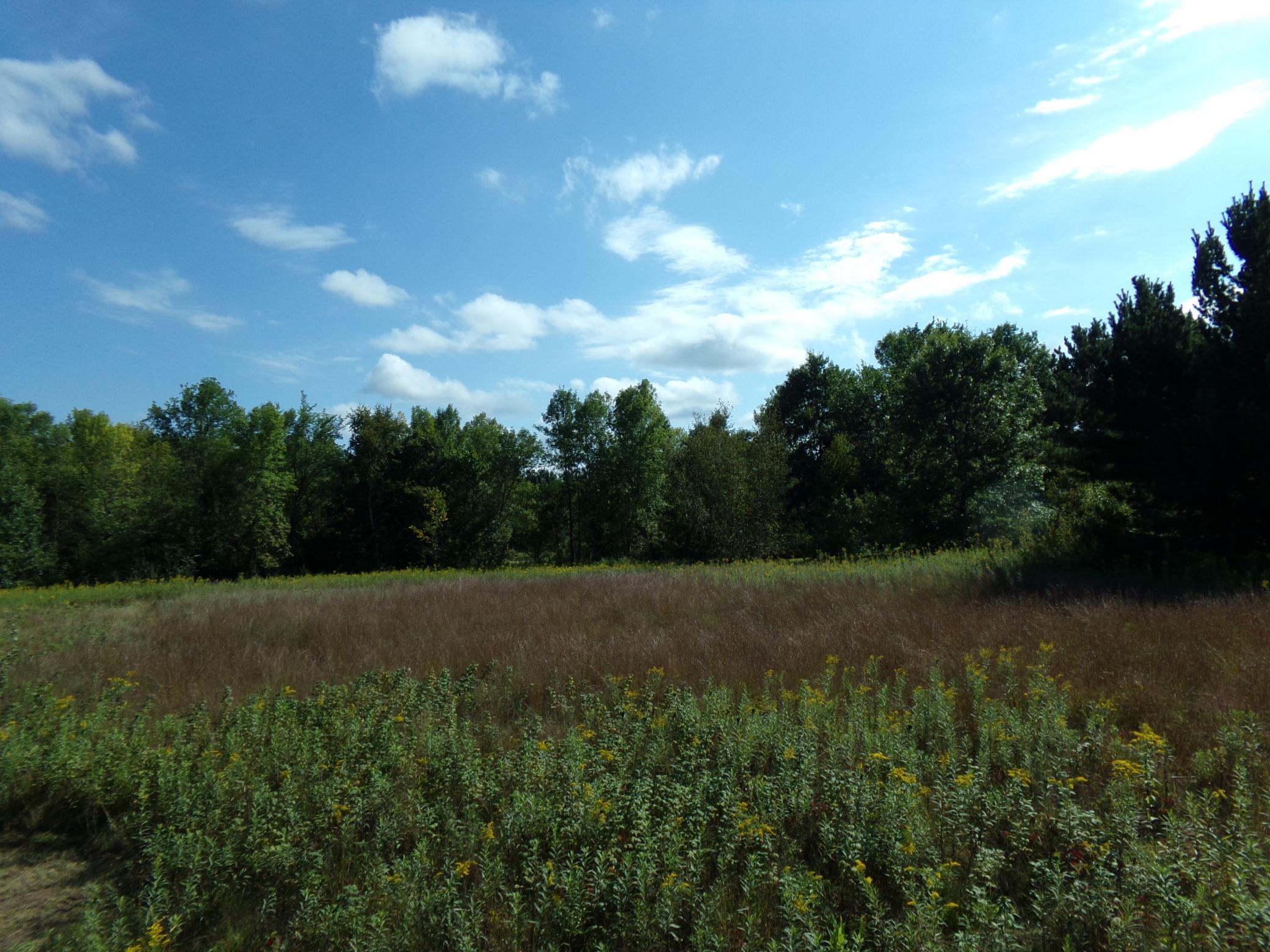View of Land at 67xx Old Sawmill Road, Harris MN 55032, Harris (5 of 15) - Mike Wilen | Minnesota Team Real Estate