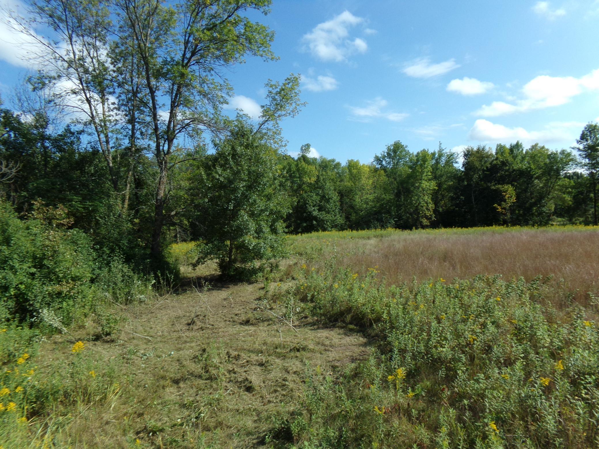 View of Land at 67xx Old Sawmill Road, Harris MN 55032, Harris (8 of 15) - Mike Wilen | Minnesota Team Real Estate