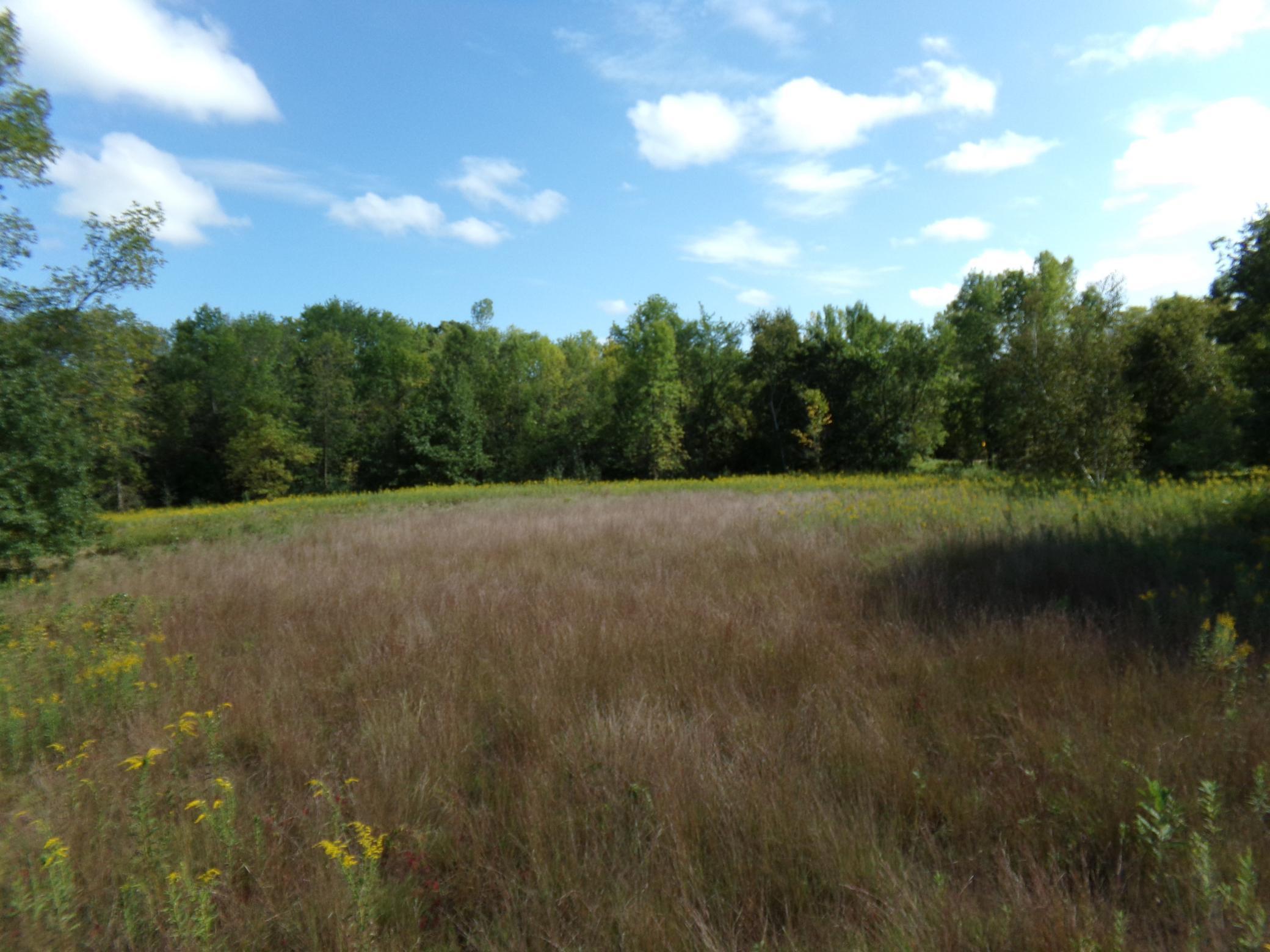 View of Land at 67xx Old Sawmill Road, Harris MN 55032, Harris (9 of 15) - Mike Wilen | Minnesota Team Real Estate