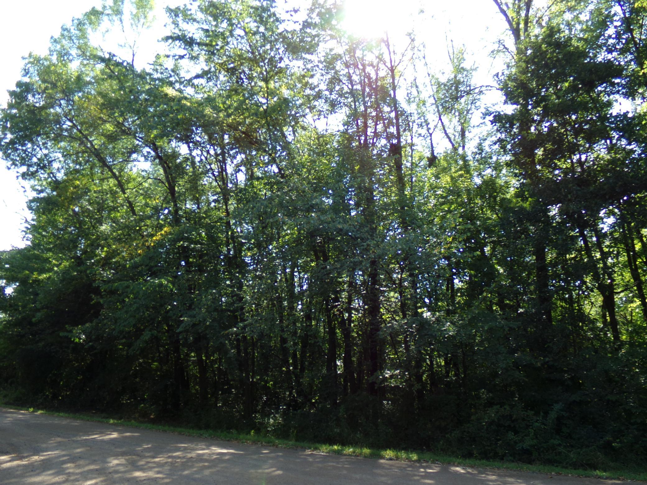 View of Land at 67xx Old Sawmill Road, Harris MN 55032, Harris (11 of 15) - Mike Wilen | Minnesota Team Real Estate