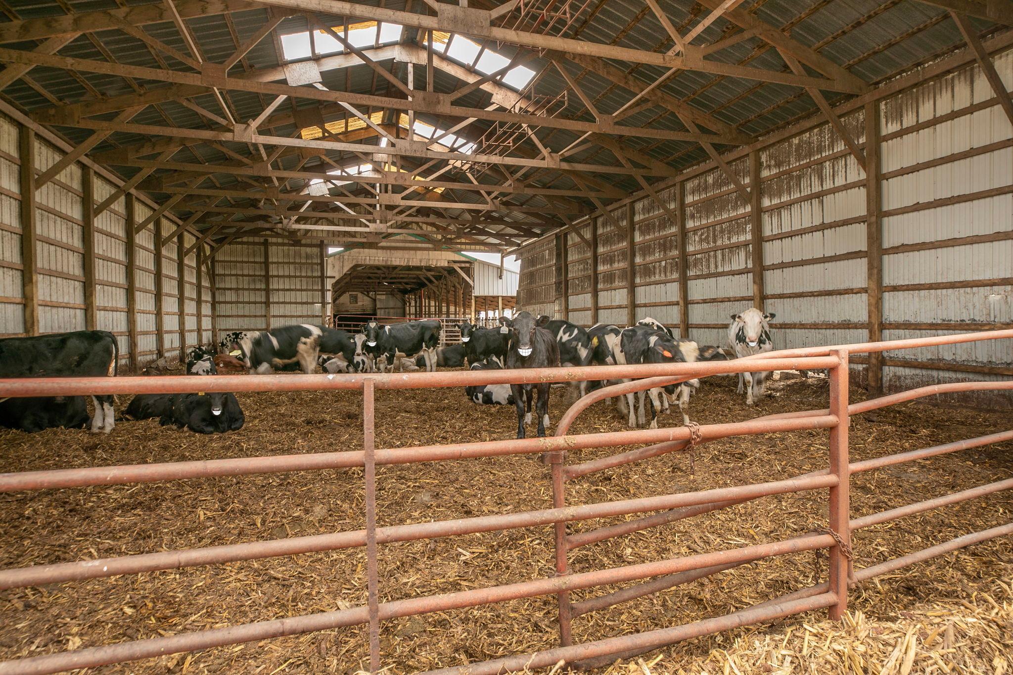 View of Farm at 21372 273rd Ave, Paynesville MN 56362, Paynesville (147 of 272) - Mike Wilen | Minnesota Team Real Estate