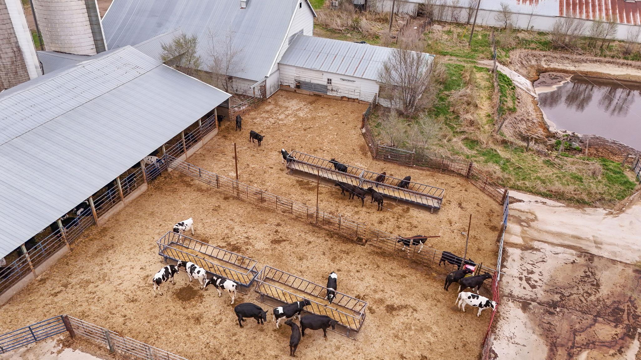 View of Farm at 21372 273rd Ave, Paynesville MN 56362, Paynesville (115 of 272) - Mike Wilen | Minnesota Team Real Estate