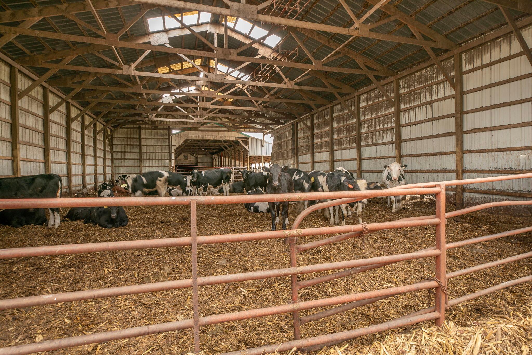 View of Farm at 21372 273rd Ave, Paynesville MN 56362, Paynesville (34 of 272) - Mike Wilen | Minnesota Team Real Estate