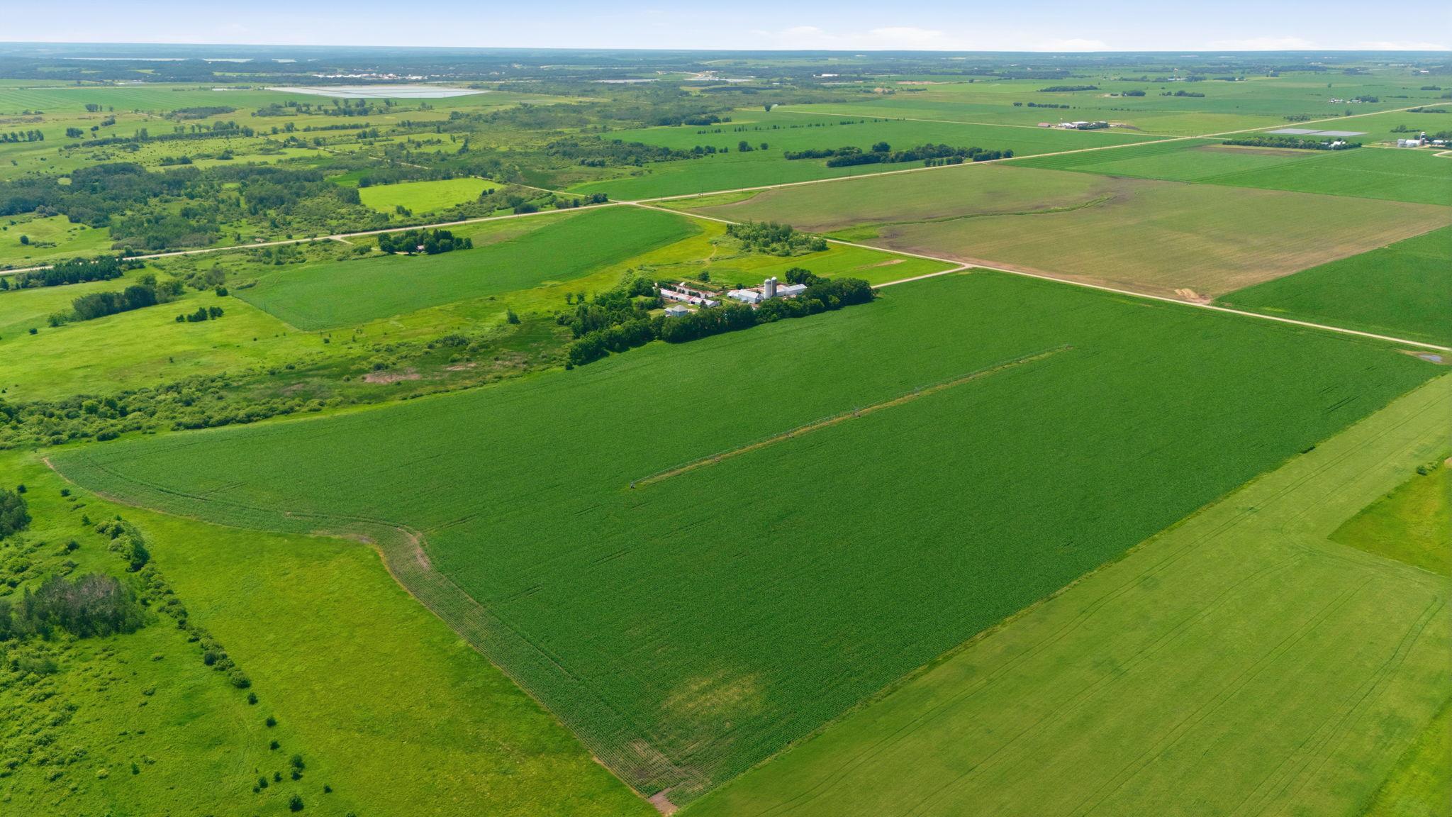 View of Farm at 21372 273rd Ave, Paynesville MN 56362, Paynesville (182 of 272) - Mike Wilen | Minnesota Team Real Estate