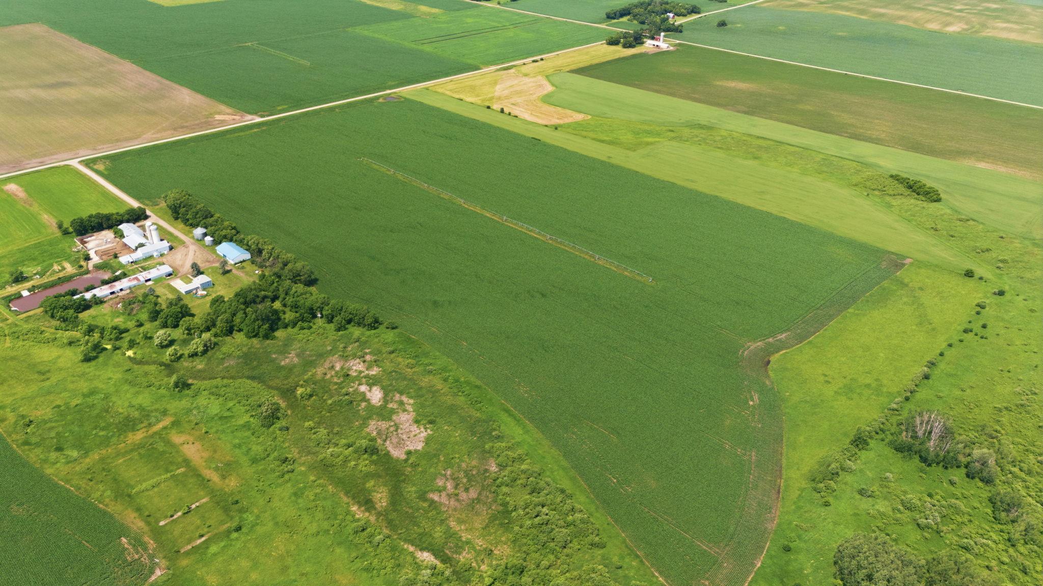 View of Farm at 21372 273rd Ave, Paynesville MN 56362, Paynesville (178 of 272) - Mike Wilen | Minnesota Team Real Estate