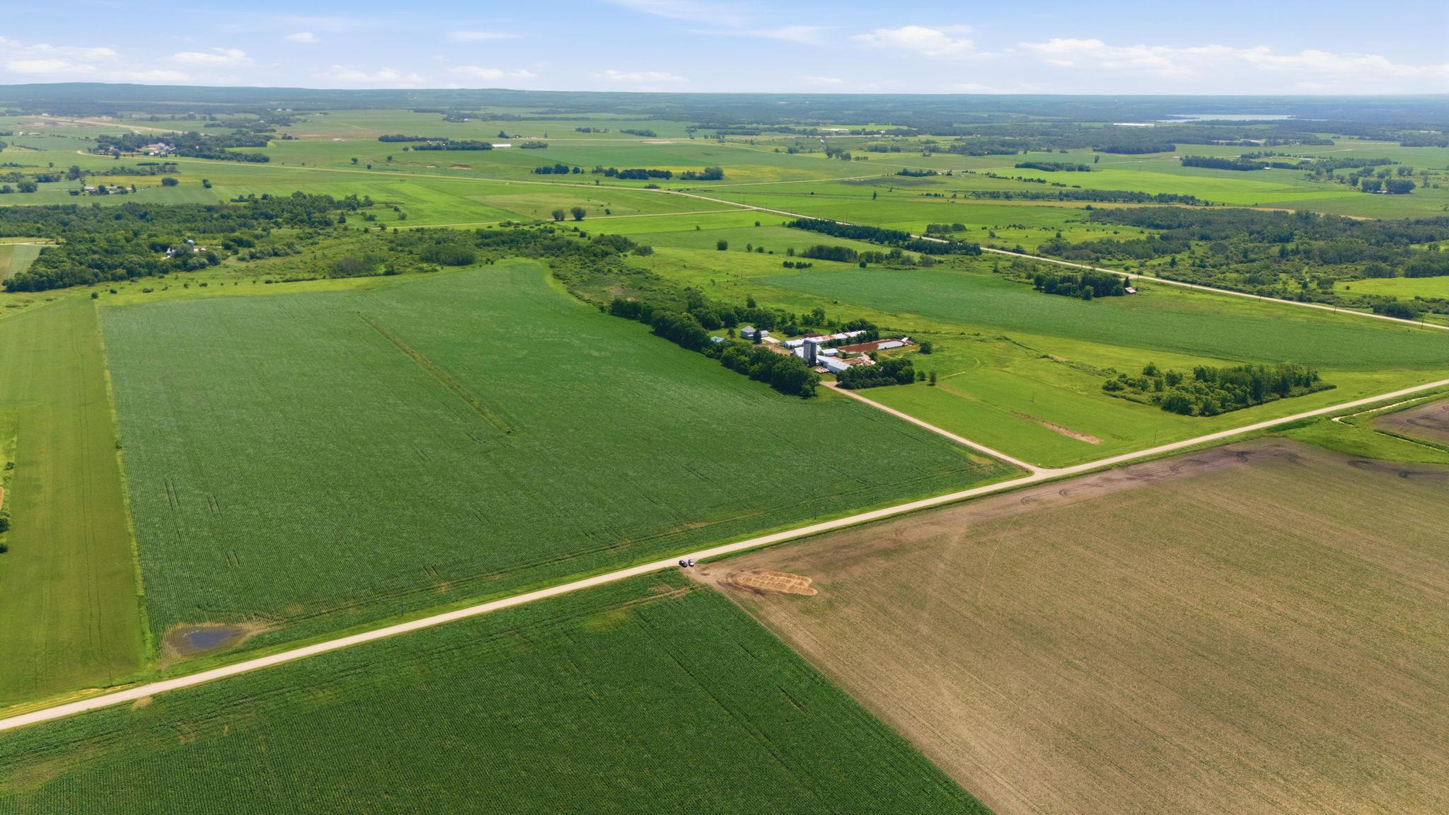 View of Farm at 21372 273rd Ave, Paynesville MN 56362, Paynesville (109 of 272) - Mike Wilen | Minnesota Team Real Estate