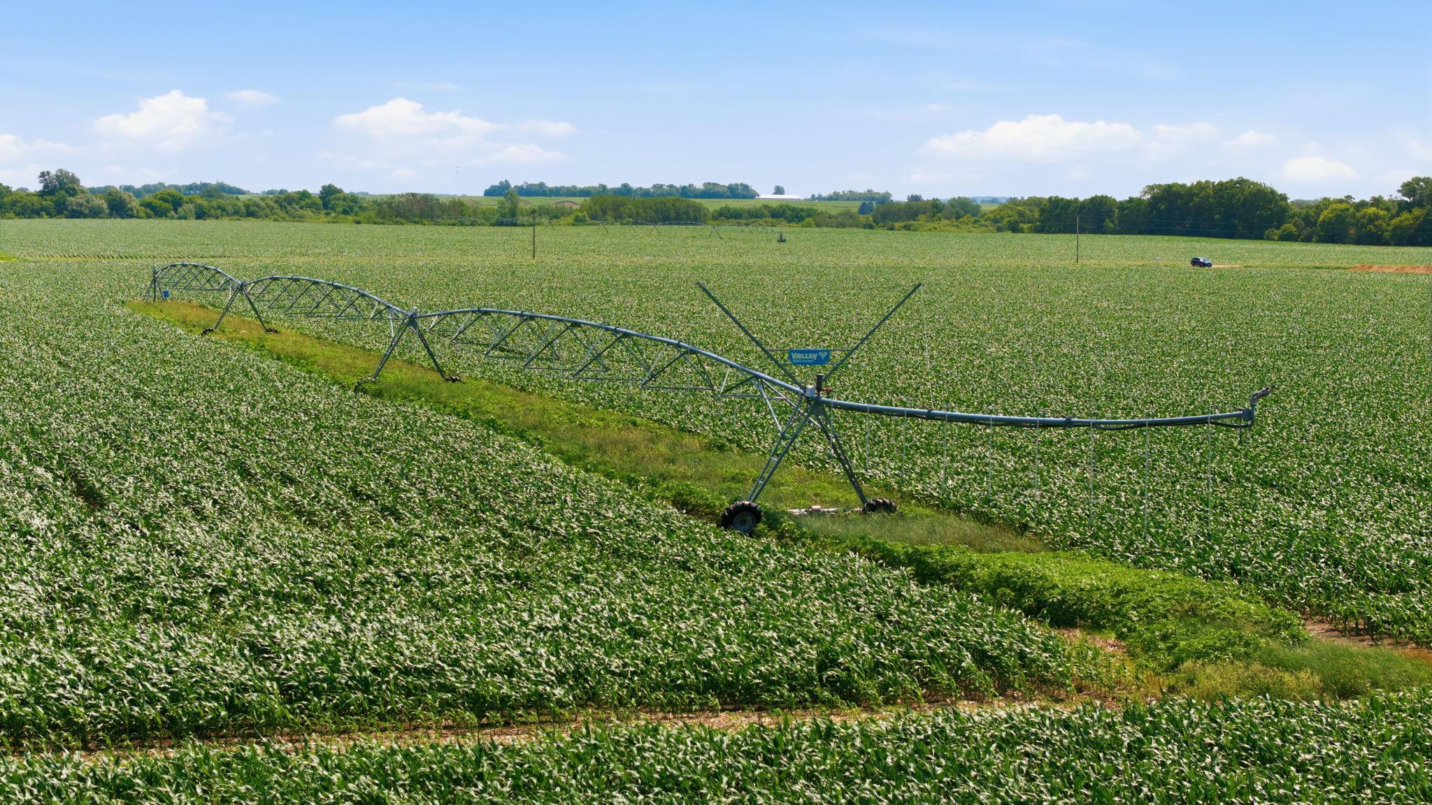 View of Farm at 21372 273rd Ave, Paynesville MN 56362, Paynesville (103 of 272) - Mike Wilen | Minnesota Team Real Estate