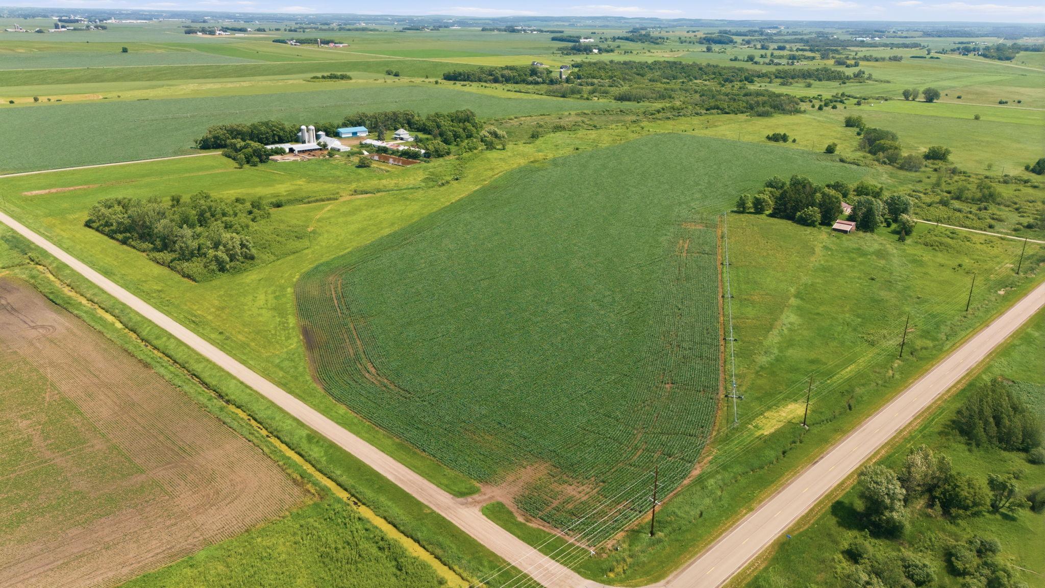 View of Farm at 21372 273rd Ave, Paynesville MN 56362, Paynesville (65 of 272) - Mike Wilen | Minnesota Team Real Estate