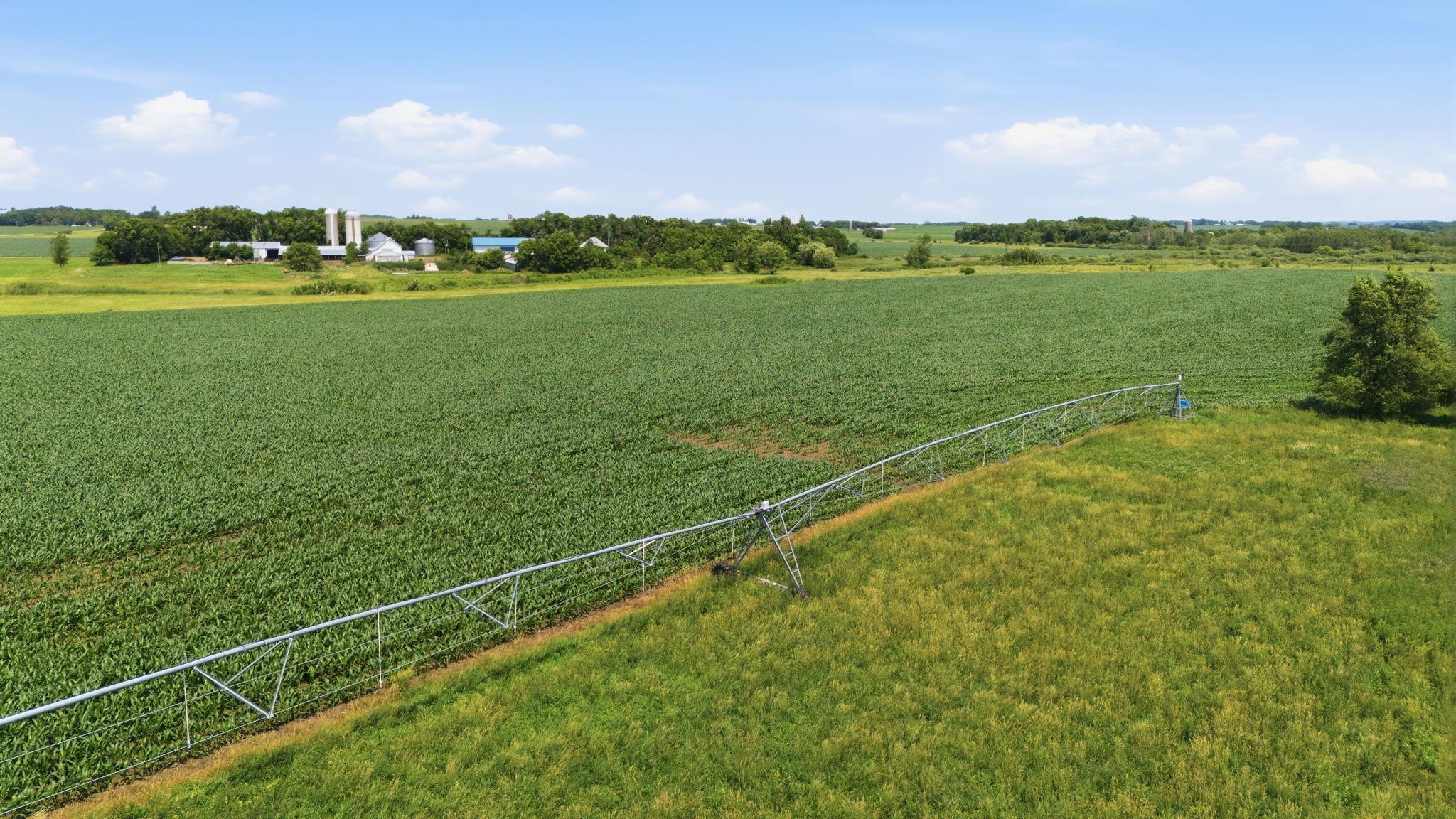 View of Farm at 21372 273rd Ave, Paynesville MN 56362, Paynesville (255 of 272) - Mike Wilen | Minnesota Team Real Estate