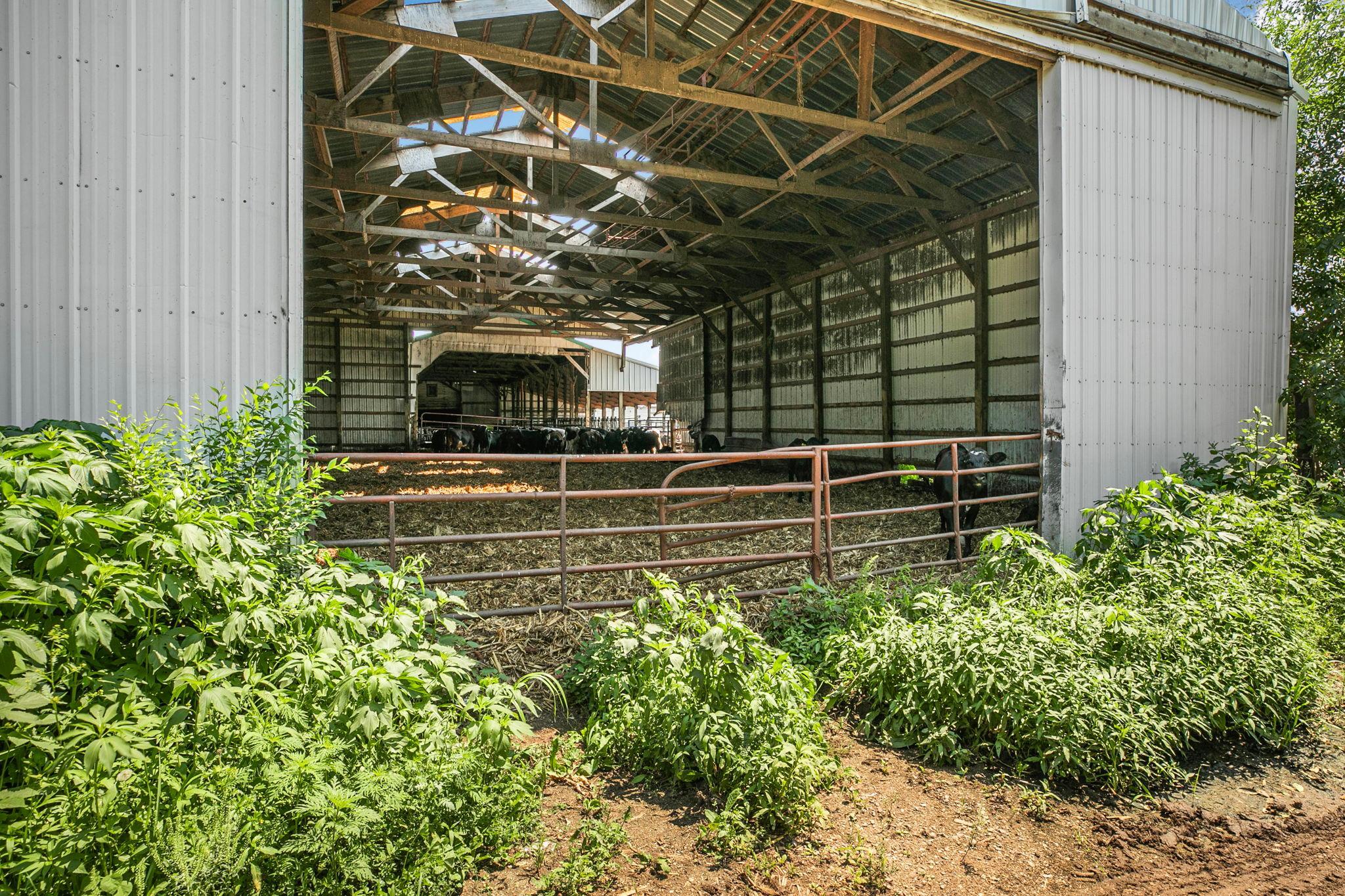 View of Farm at 21372 273rd Ave, Paynesville MN 56362, Paynesville (230 of 272) - Mike Wilen | Minnesota Team Real Estate
