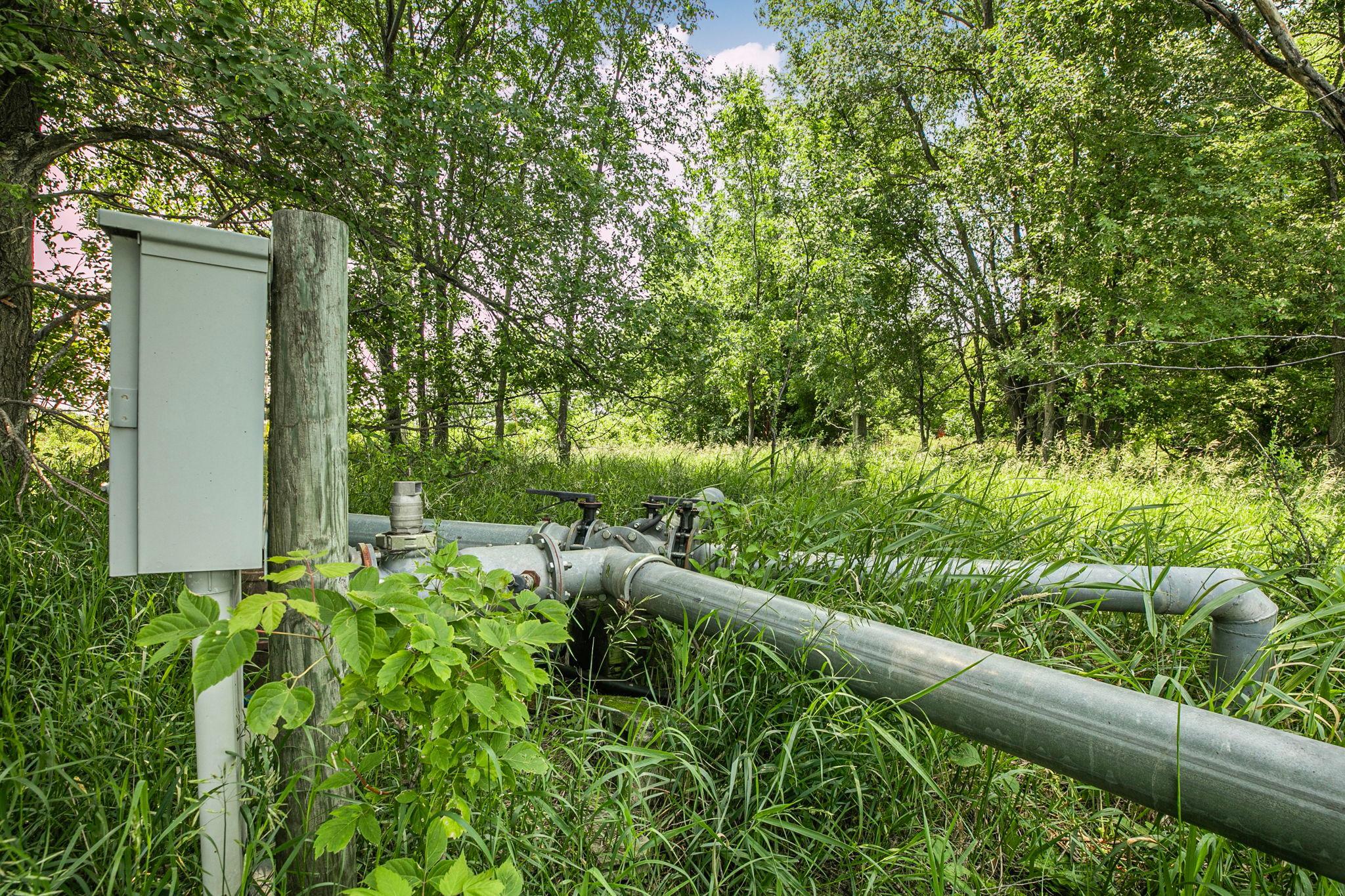 View of Farm at 21372 273rd Ave, Paynesville MN 56362, Paynesville (202 of 272) - Mike Wilen | Minnesota Team Real Estate