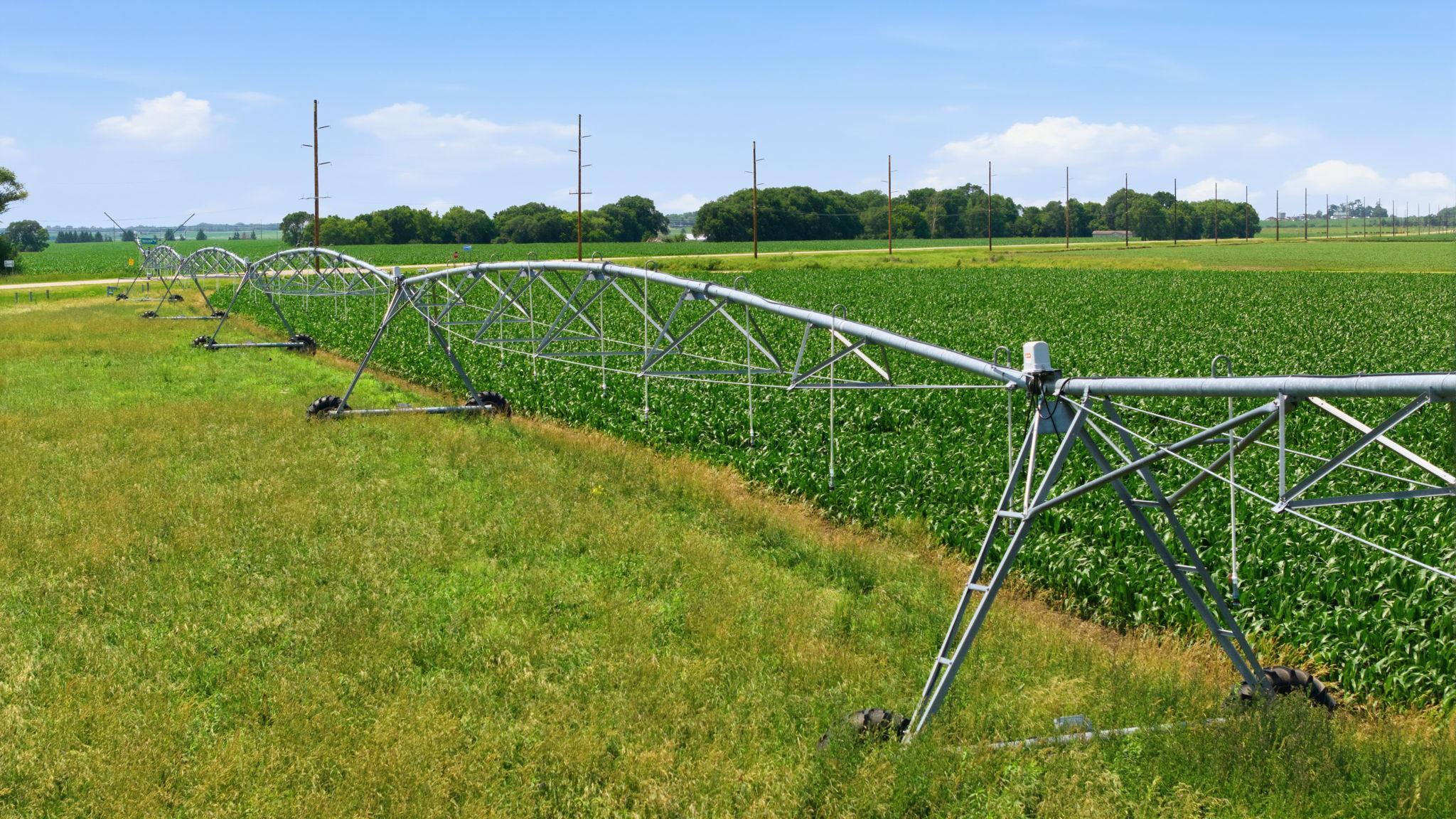 View of Farm at 21372 273rd Ave, Paynesville MN 56362, Paynesville (111 of 272) - Mike Wilen | Minnesota Team Real Estate
