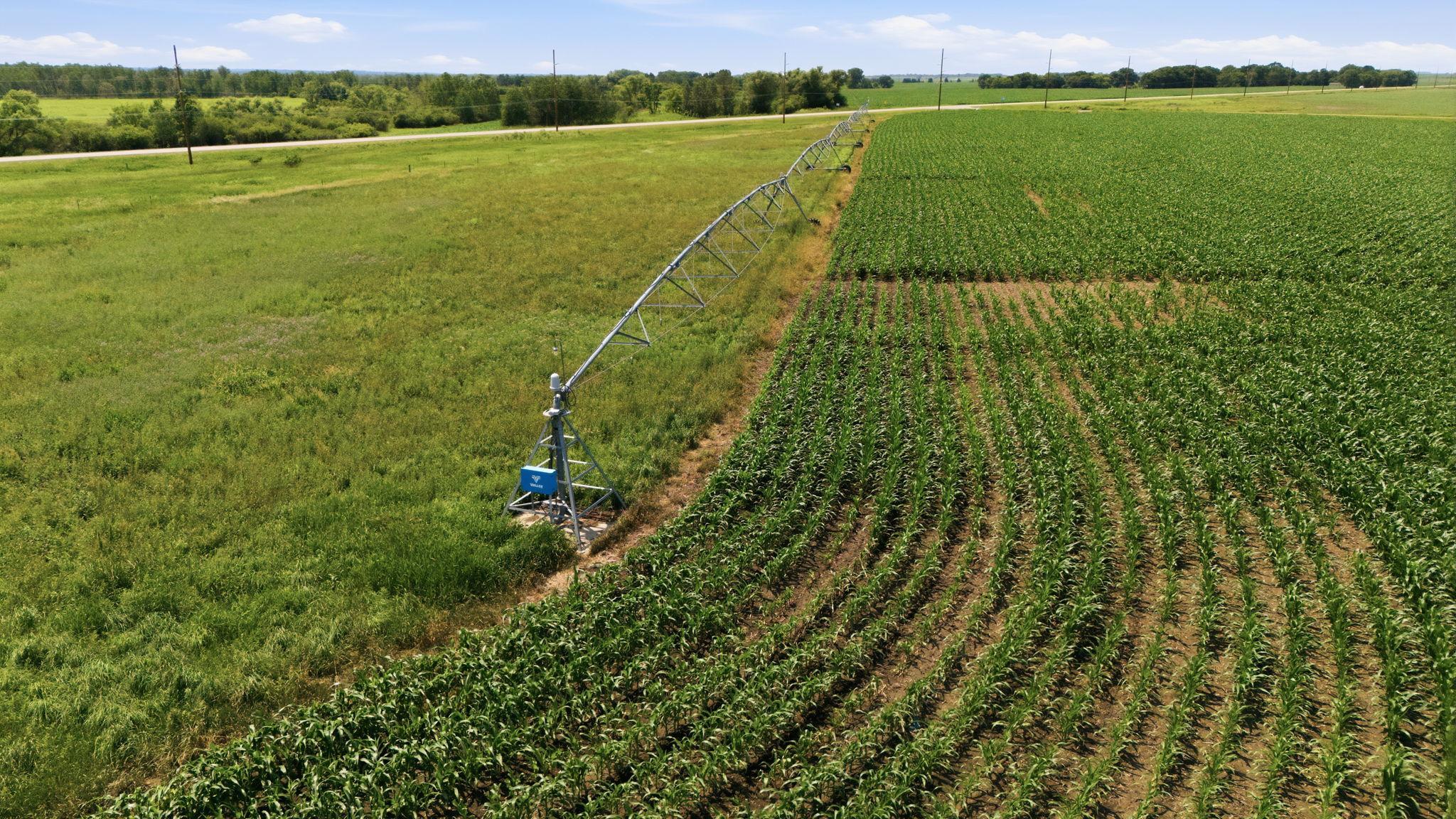 View of Farm at 21372 273rd Ave, Paynesville MN 56362, Paynesville (72 of 272) - Mike Wilen | Minnesota Team Real Estate