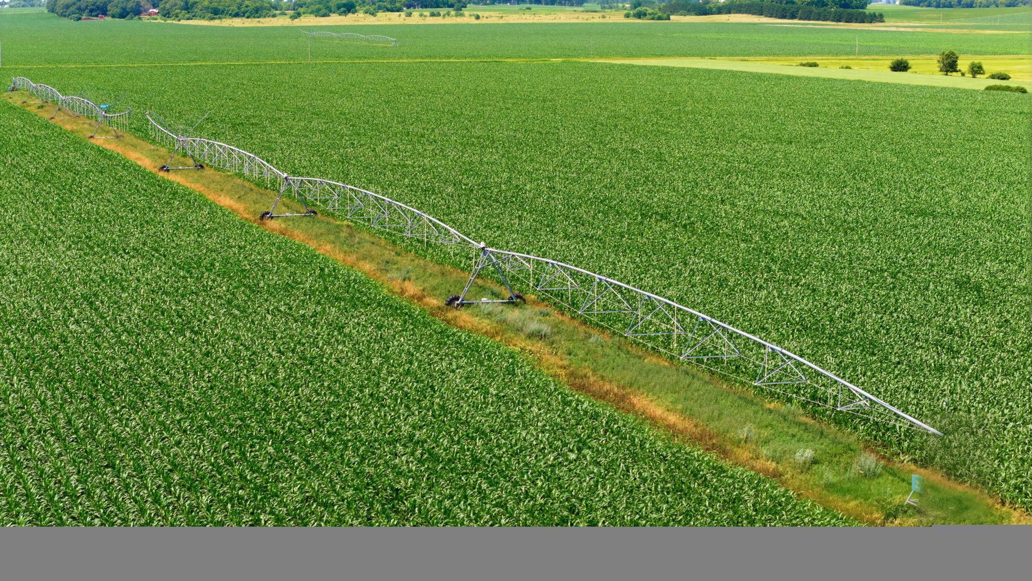 View of Farm at 21372 273rd Ave, Paynesville MN 56362, Paynesville (39 of 272) - Mike Wilen | Minnesota Team Real Estate