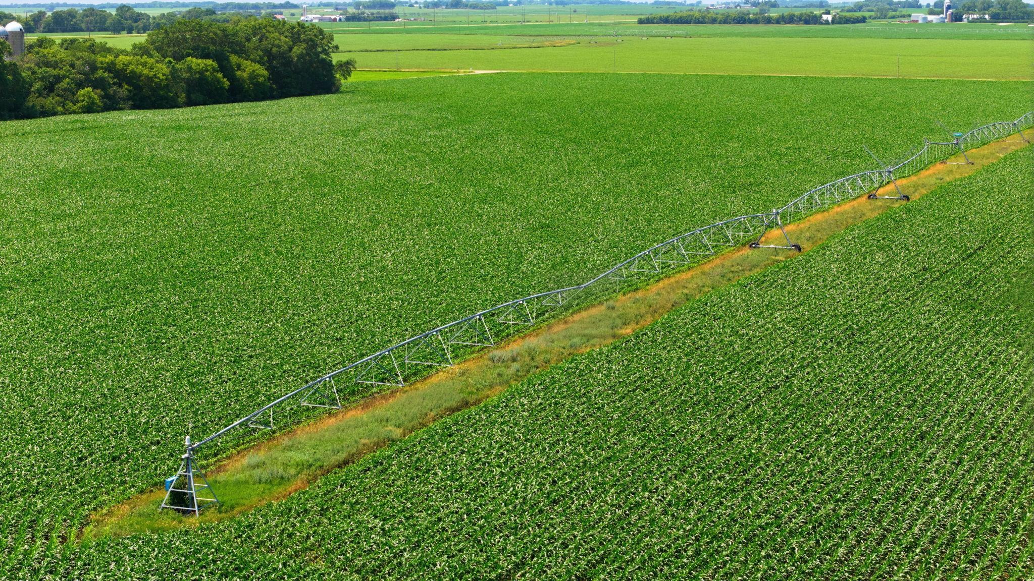 View of Farm at 21372 273rd Ave, Paynesville MN 56362, Paynesville (24 of 272) - Mike Wilen | Minnesota Team Real Estate