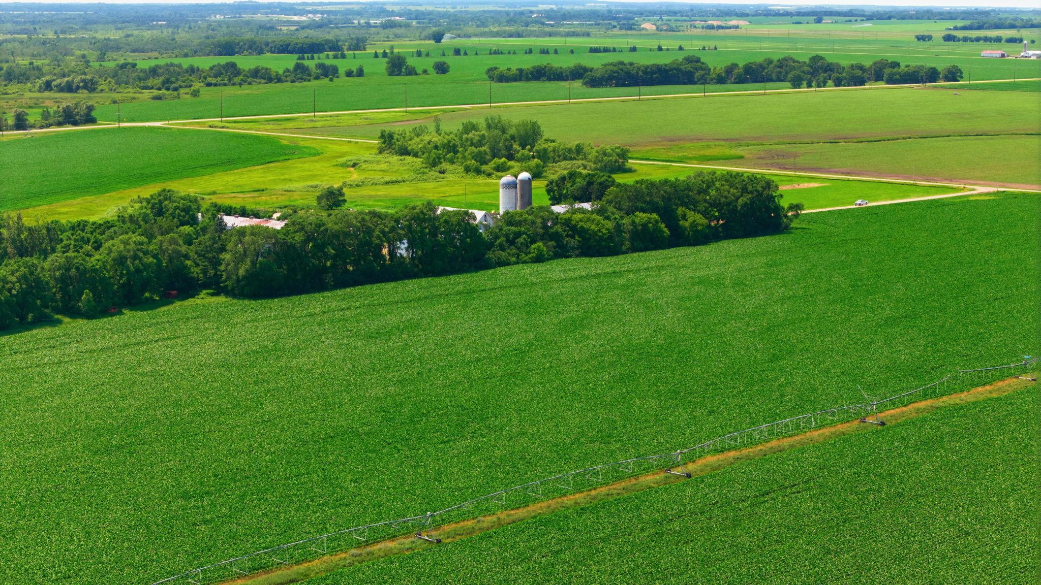 View of Farm at 21372 273rd Ave, Paynesville MN 56362, Paynesville (175 of 272) - Mike Wilen | Minnesota Team Real Estate