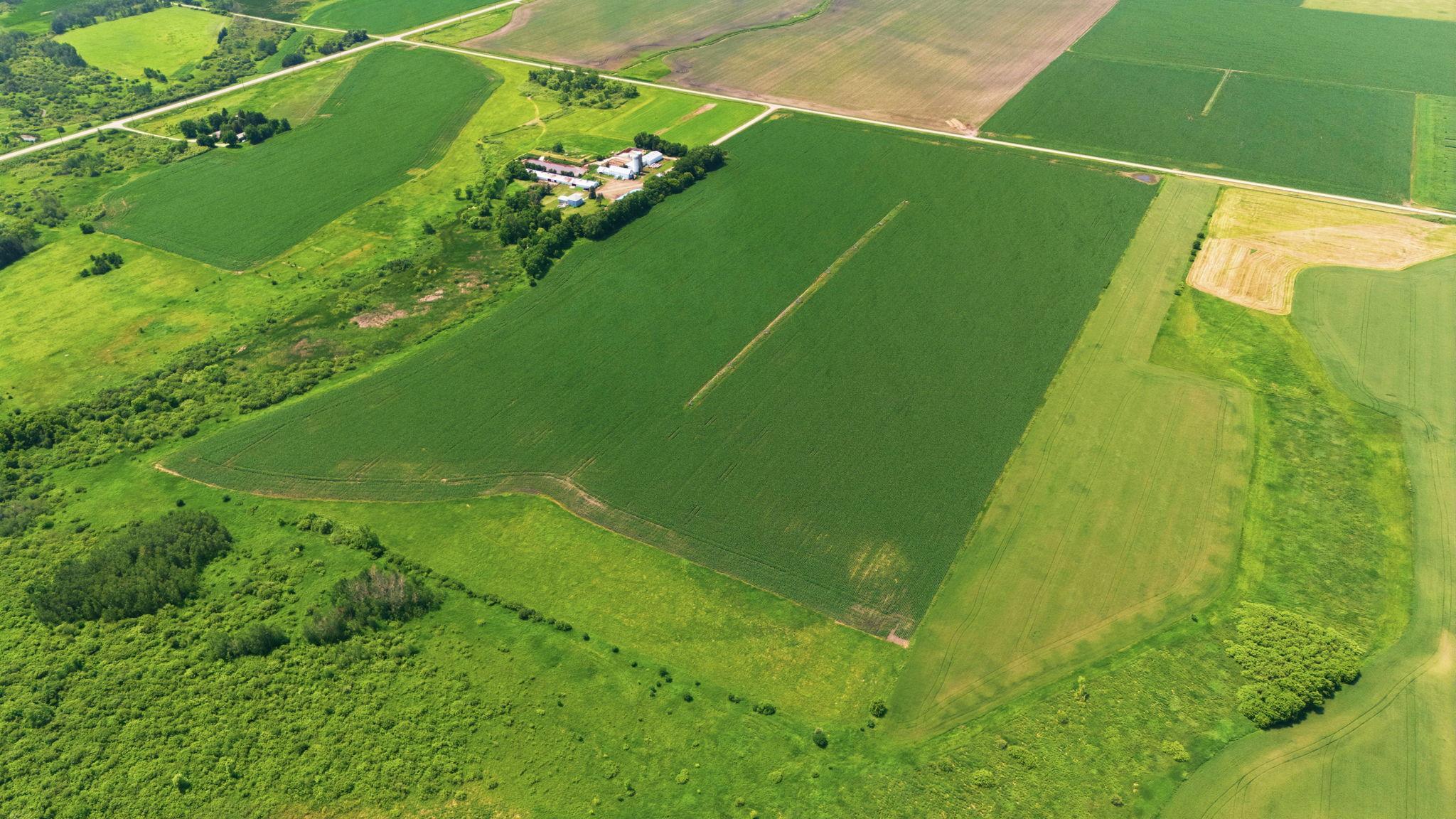 View of Farm at 21372 273rd Ave, Paynesville MN 56362, Paynesville (165 of 272) - Mike Wilen | Minnesota Team Real Estate