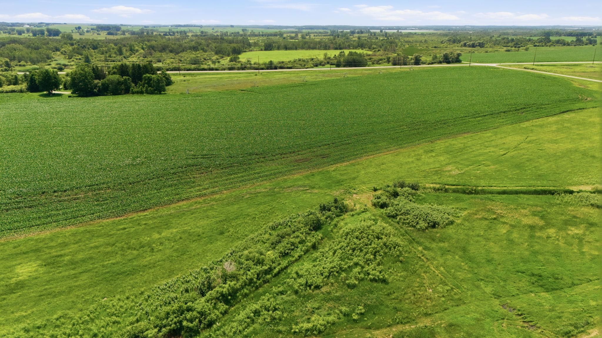 View of Farm at 21372 273rd Ave, Paynesville MN 56362, Paynesville (123 of 272) - Mike Wilen | Minnesota Team Real Estate